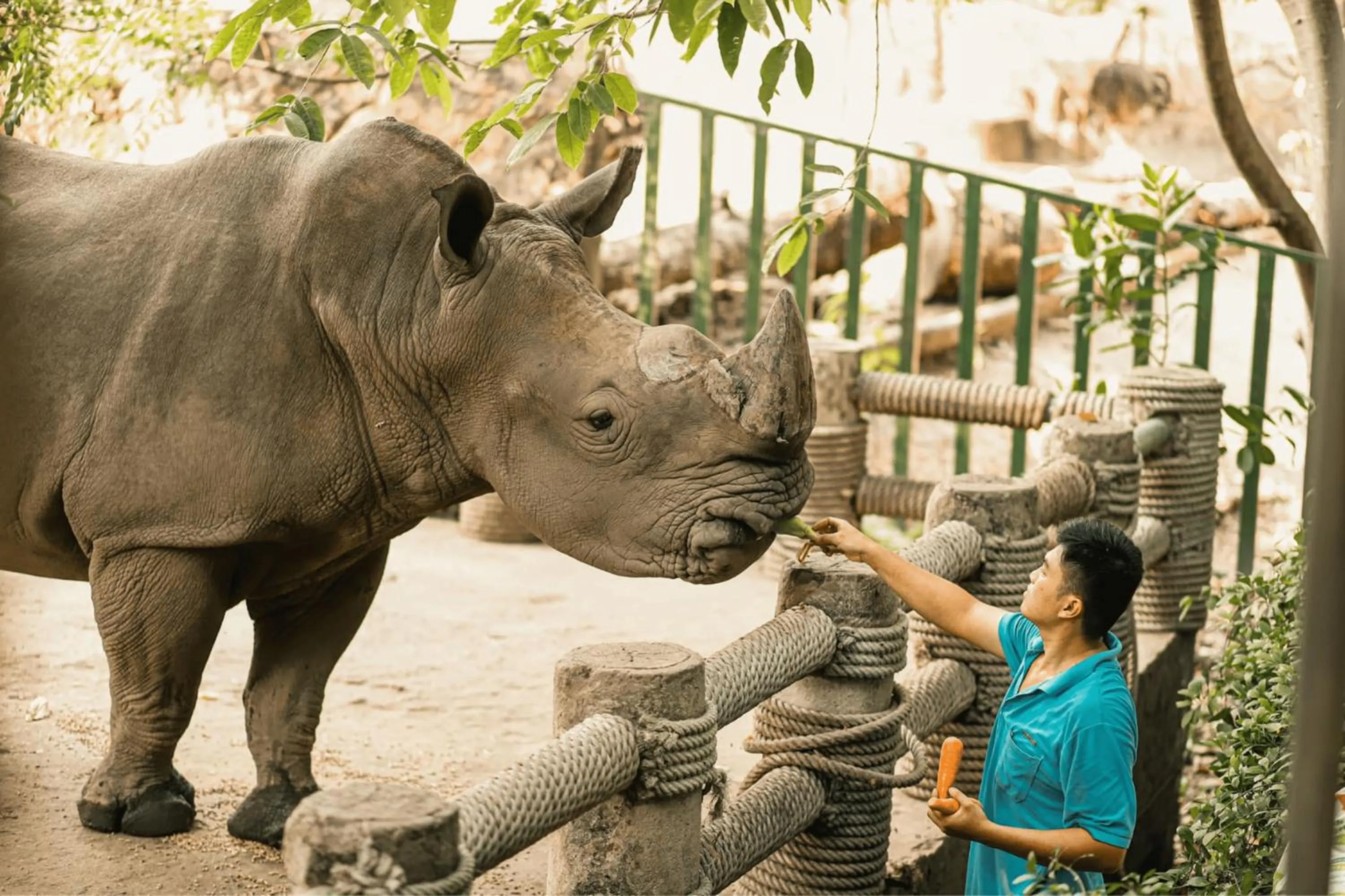 The Bloom Pham Viet Chanh - Modern Living Space in Saigon - A Top Choice for Western Travelers
