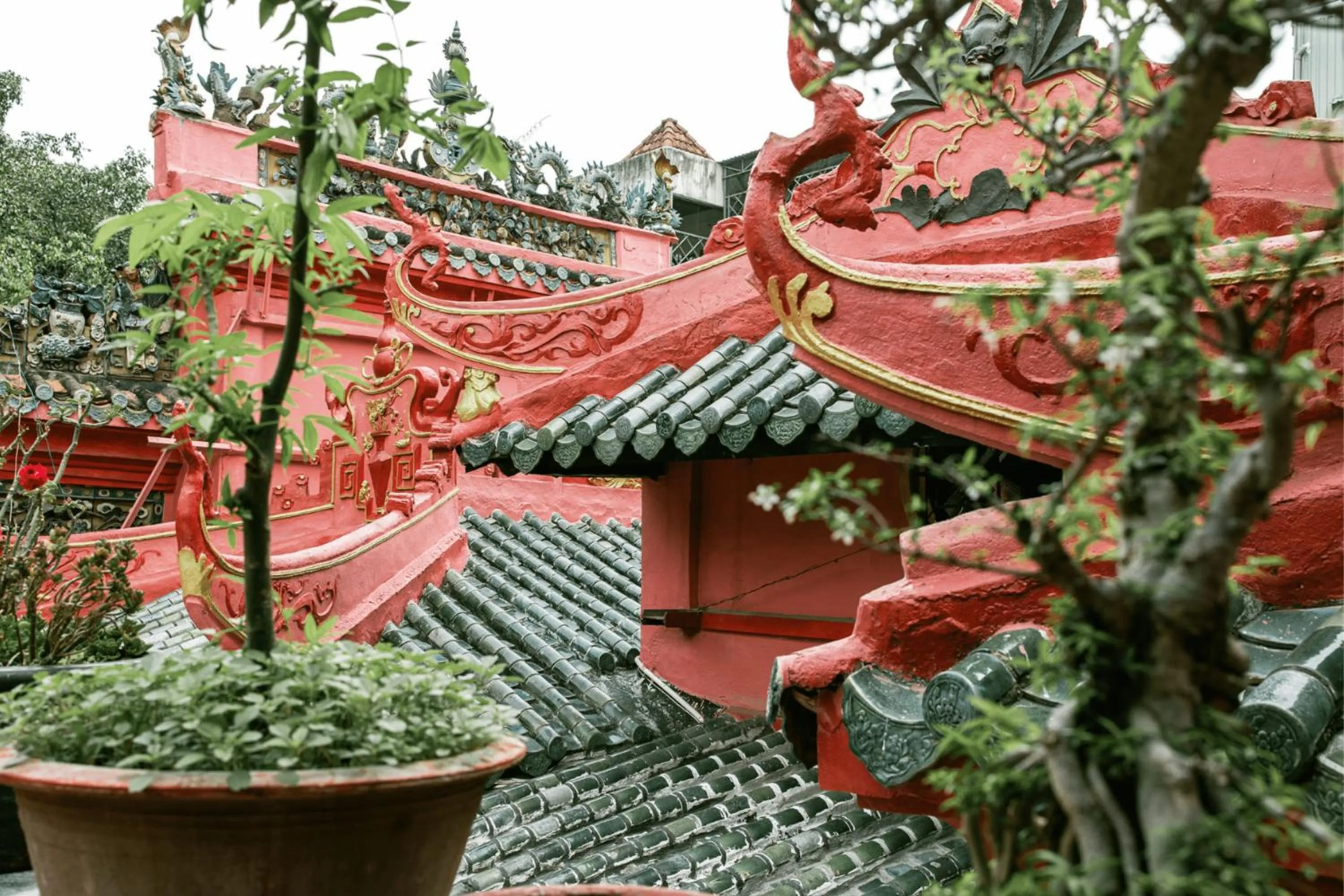 Spring in The Bloom Pham Viet Chanh - Modern Living Space in Saigon - A Top Choice for Western Travelers