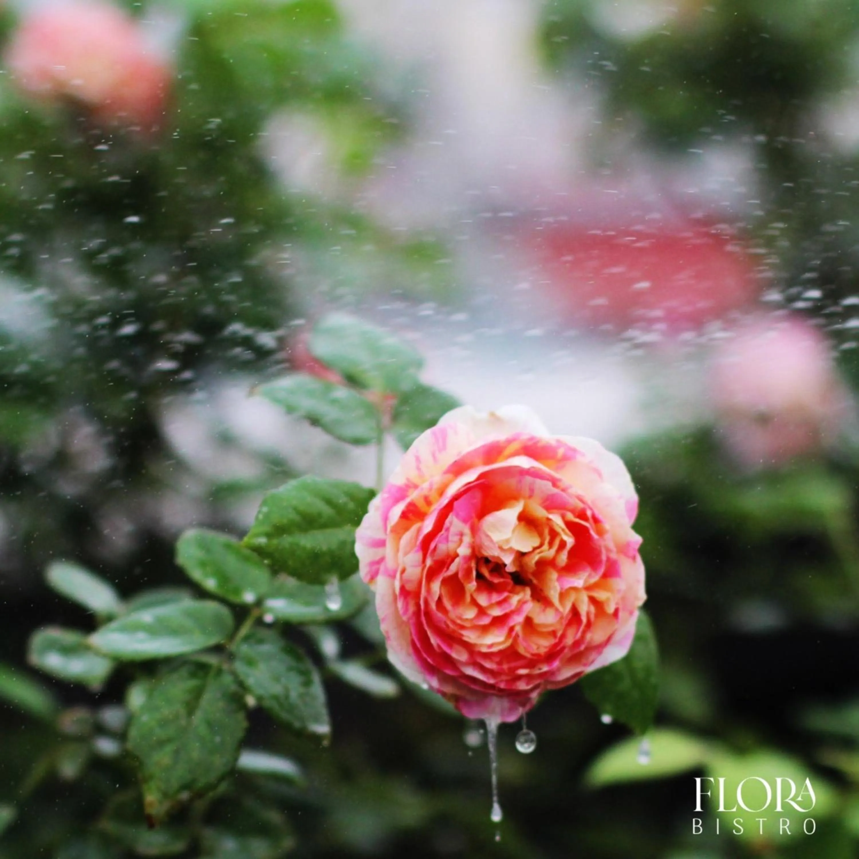 The Bloom Pham Viet Chanh - Modern Living Space in Saigon - A Top Choice for Western Travelers