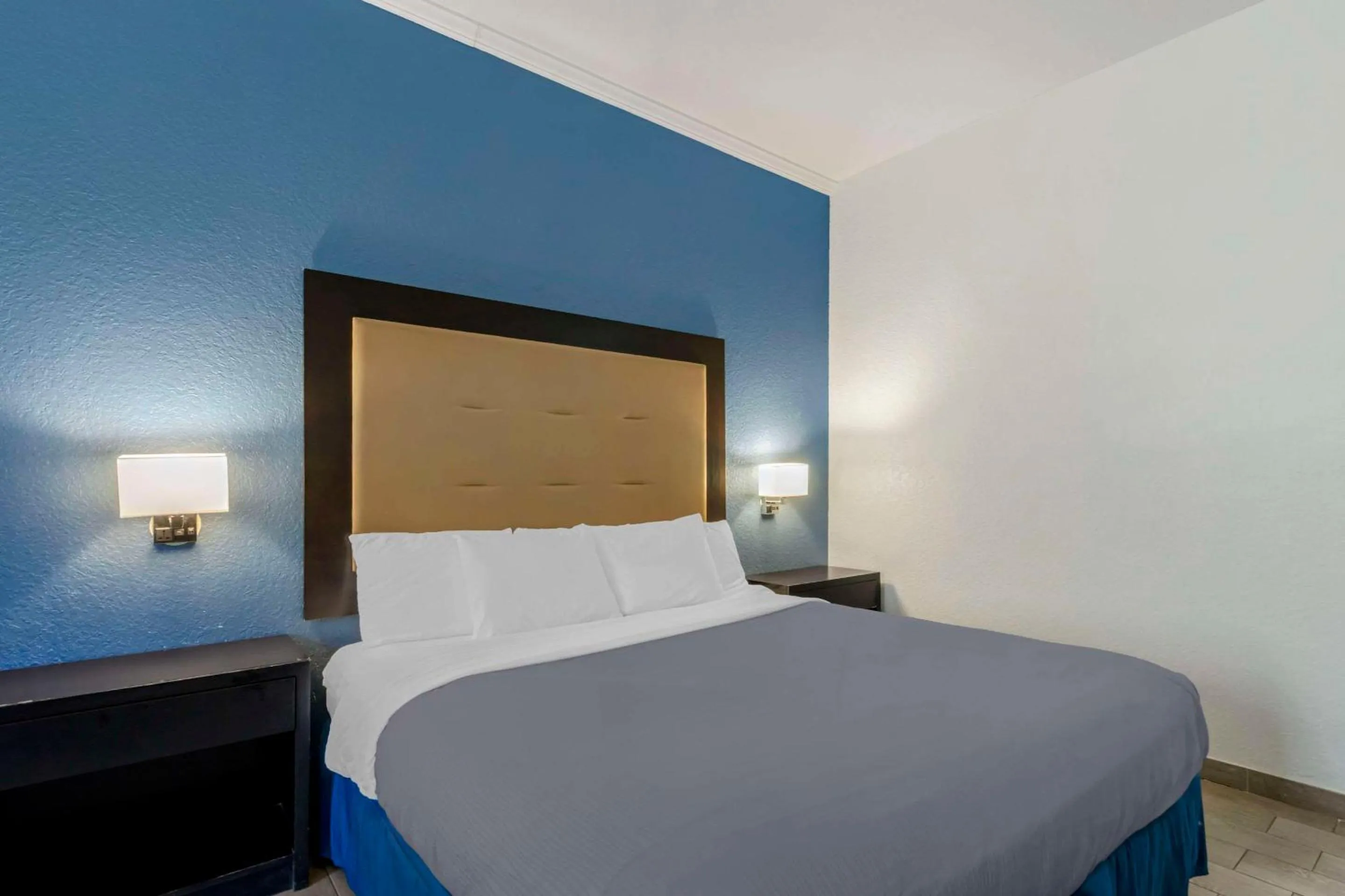 Bedroom, Bed in Rodeway Inn Wesley Chapel