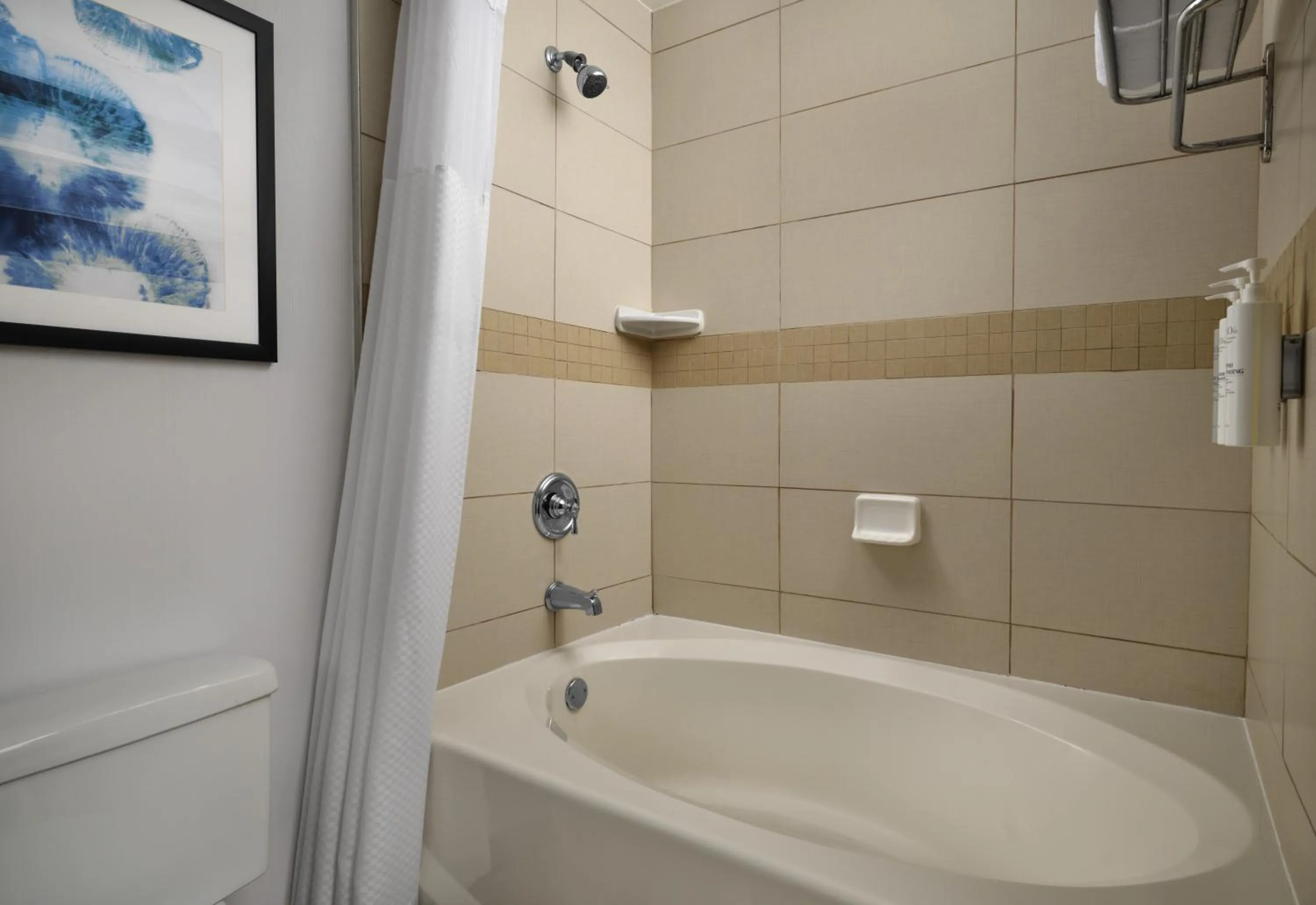 Bathroom in Hilton Garden Inn Tampa East Brandon