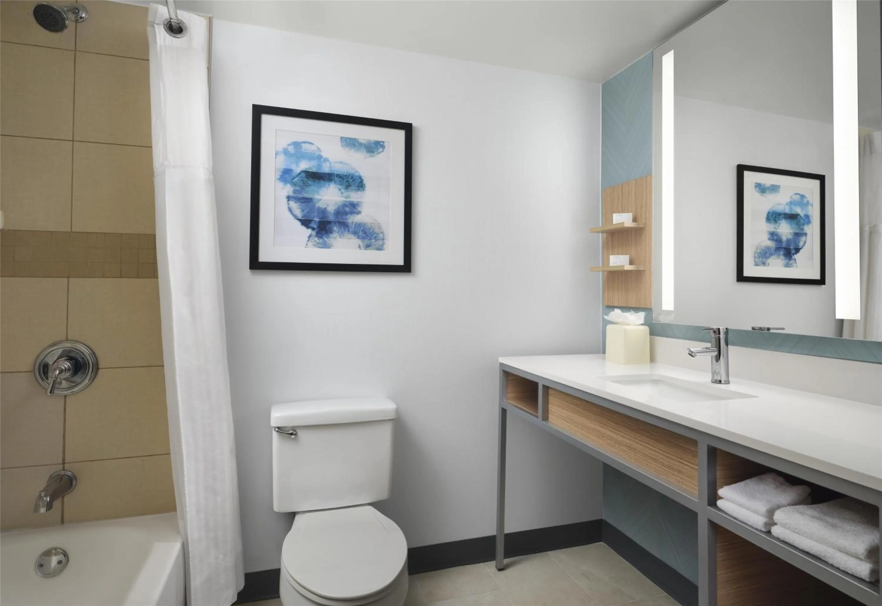 Bathroom in Hilton Garden Inn Tampa East Brandon