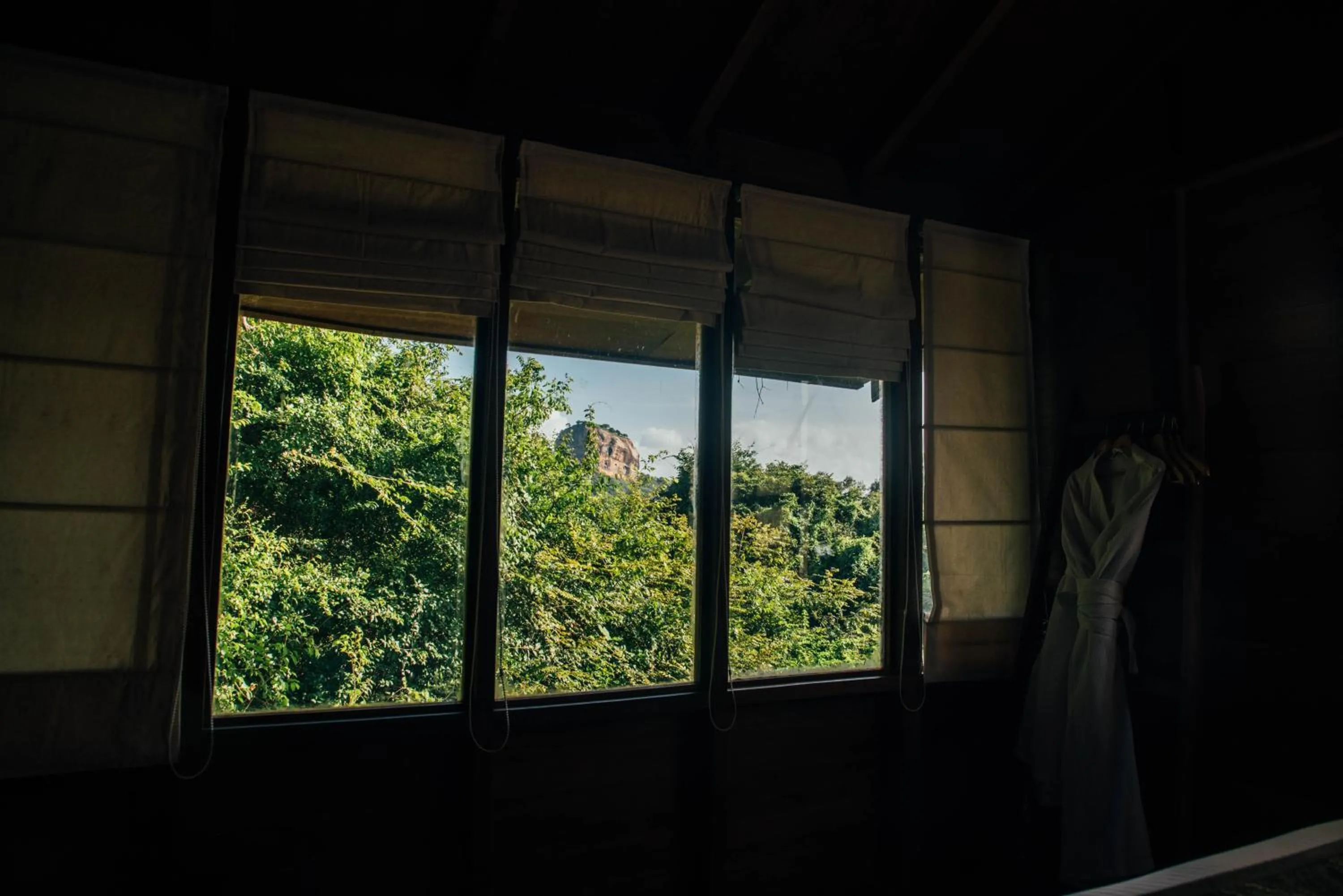 Garden view in Sigiriya King's Resort