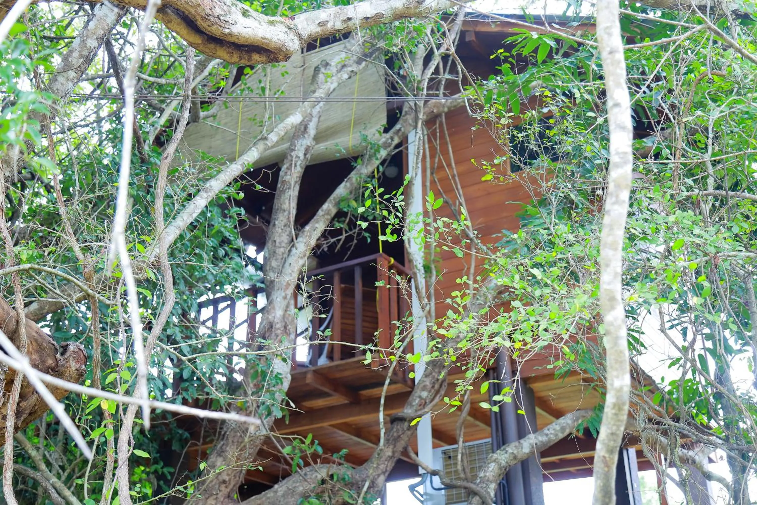 View (from property/room) in Sigiriya King's Resort