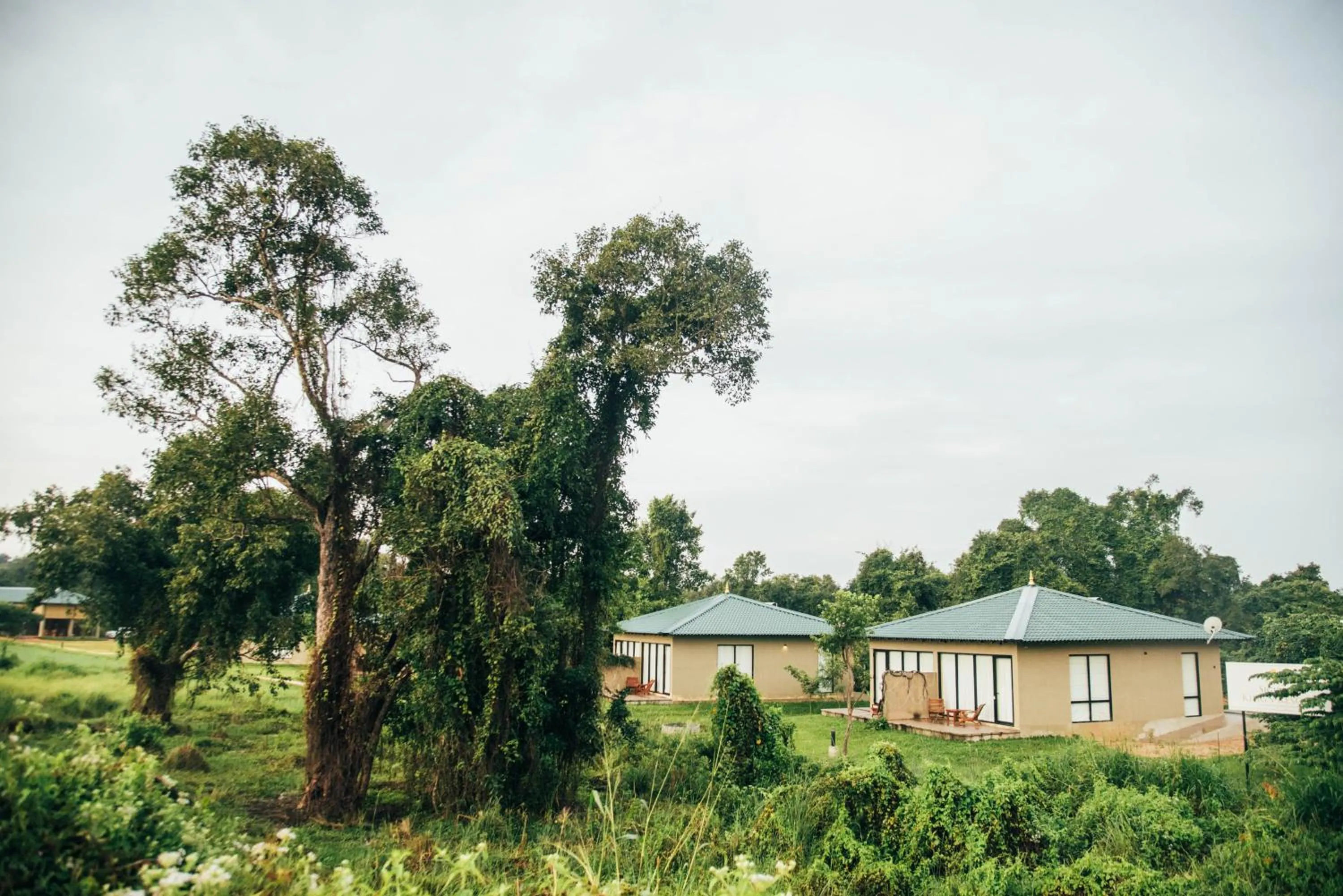 Property building in Sigiriya King's Resort