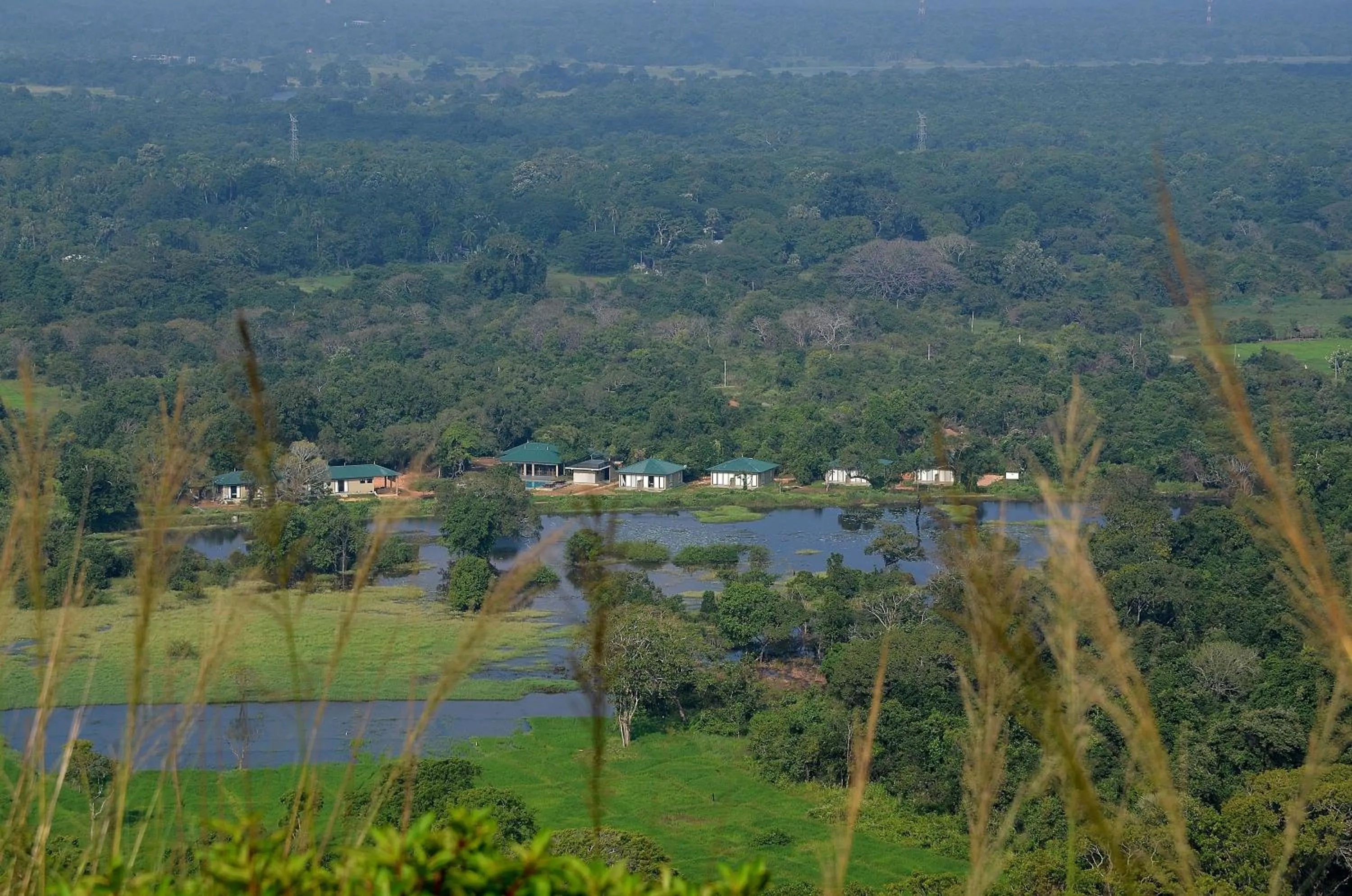 Natural landscape in Sigiriya King's Resort