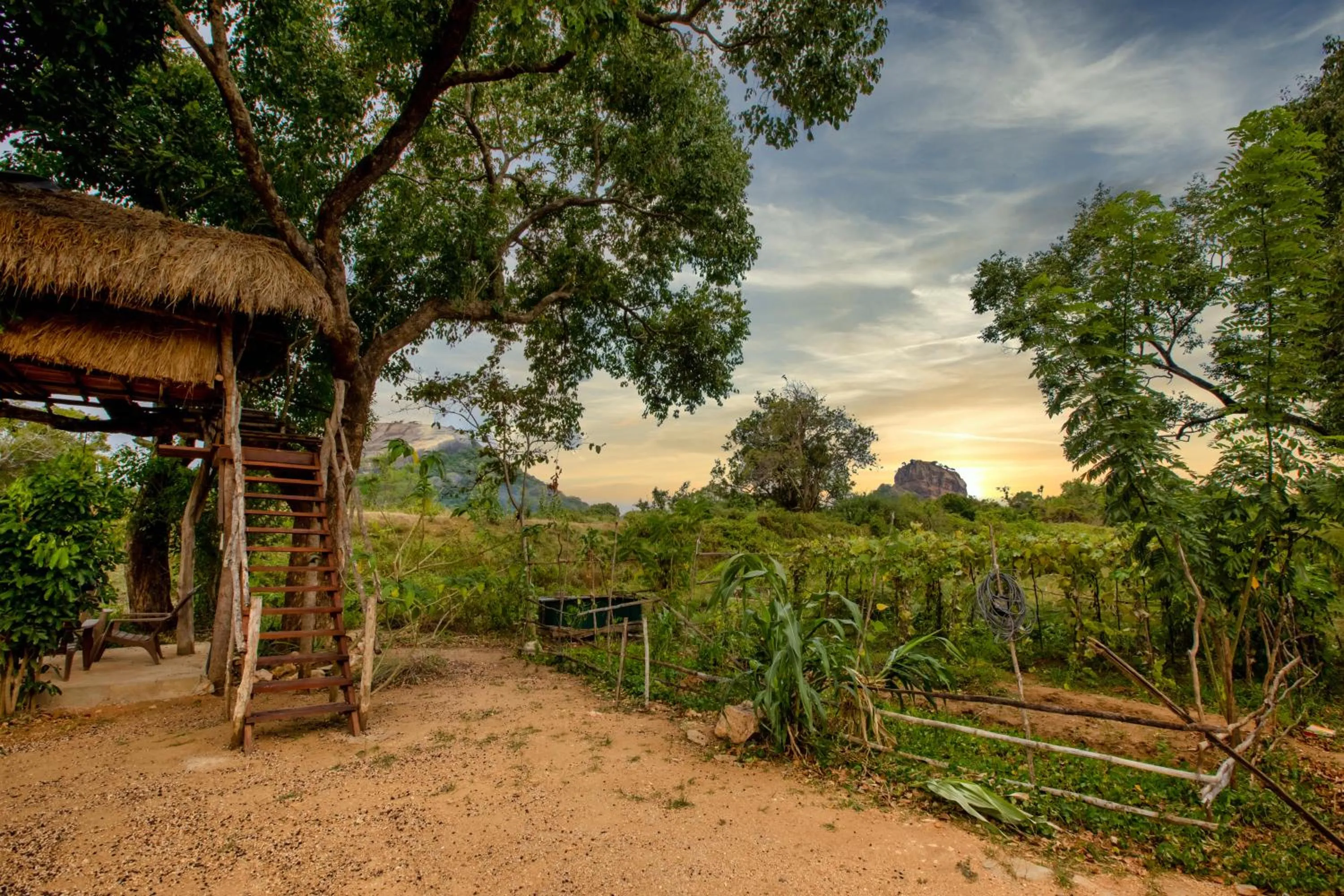 Natural landscape in Sigiriya King's Resort