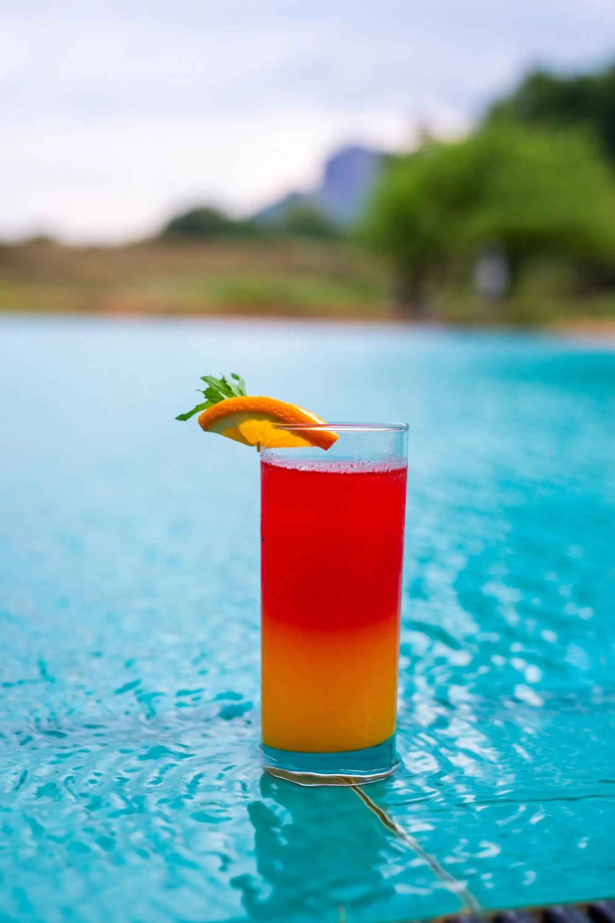 Pool view in Sigiriya King's Resort