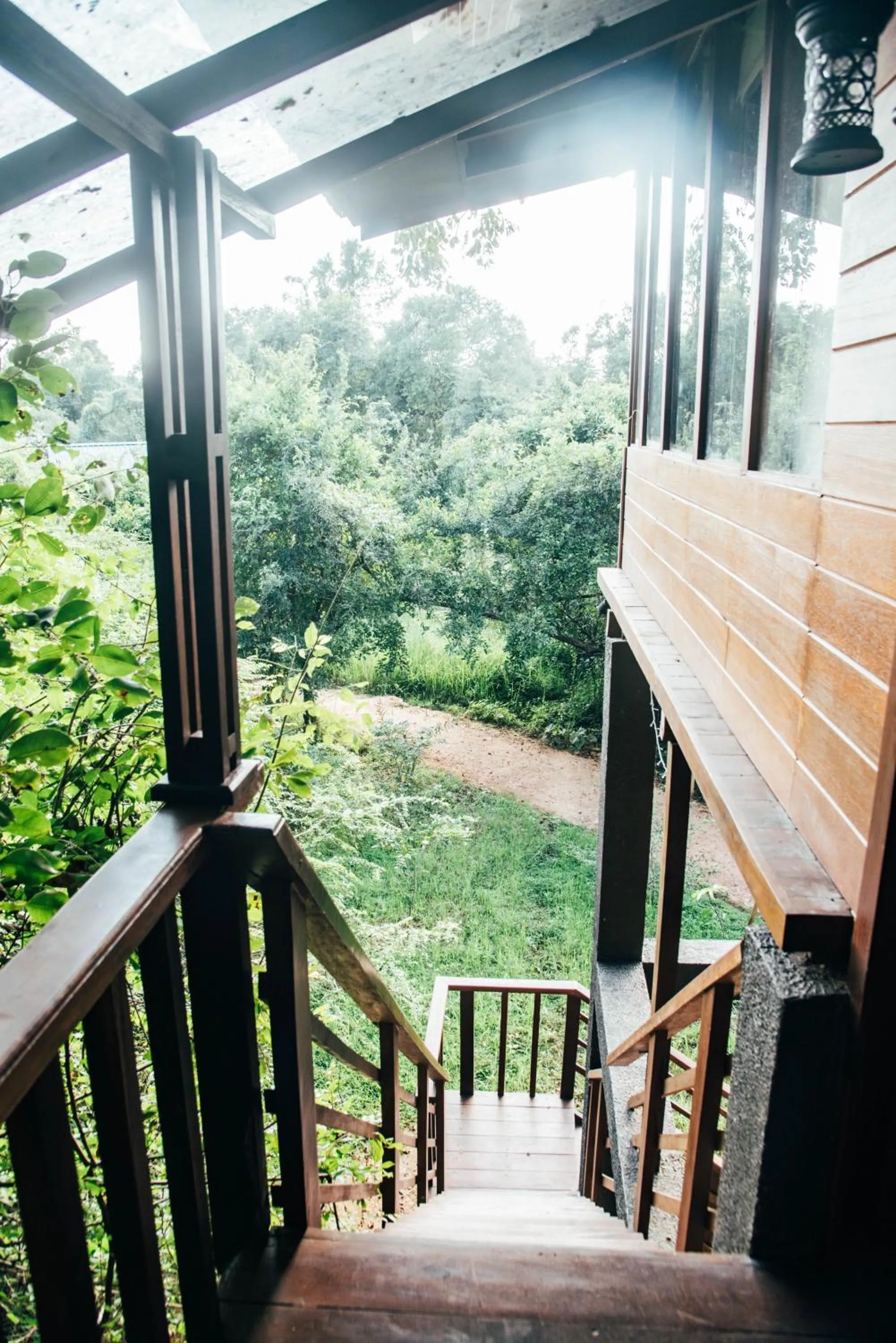 Balcony/Terrace in Sigiriya King's Resort
