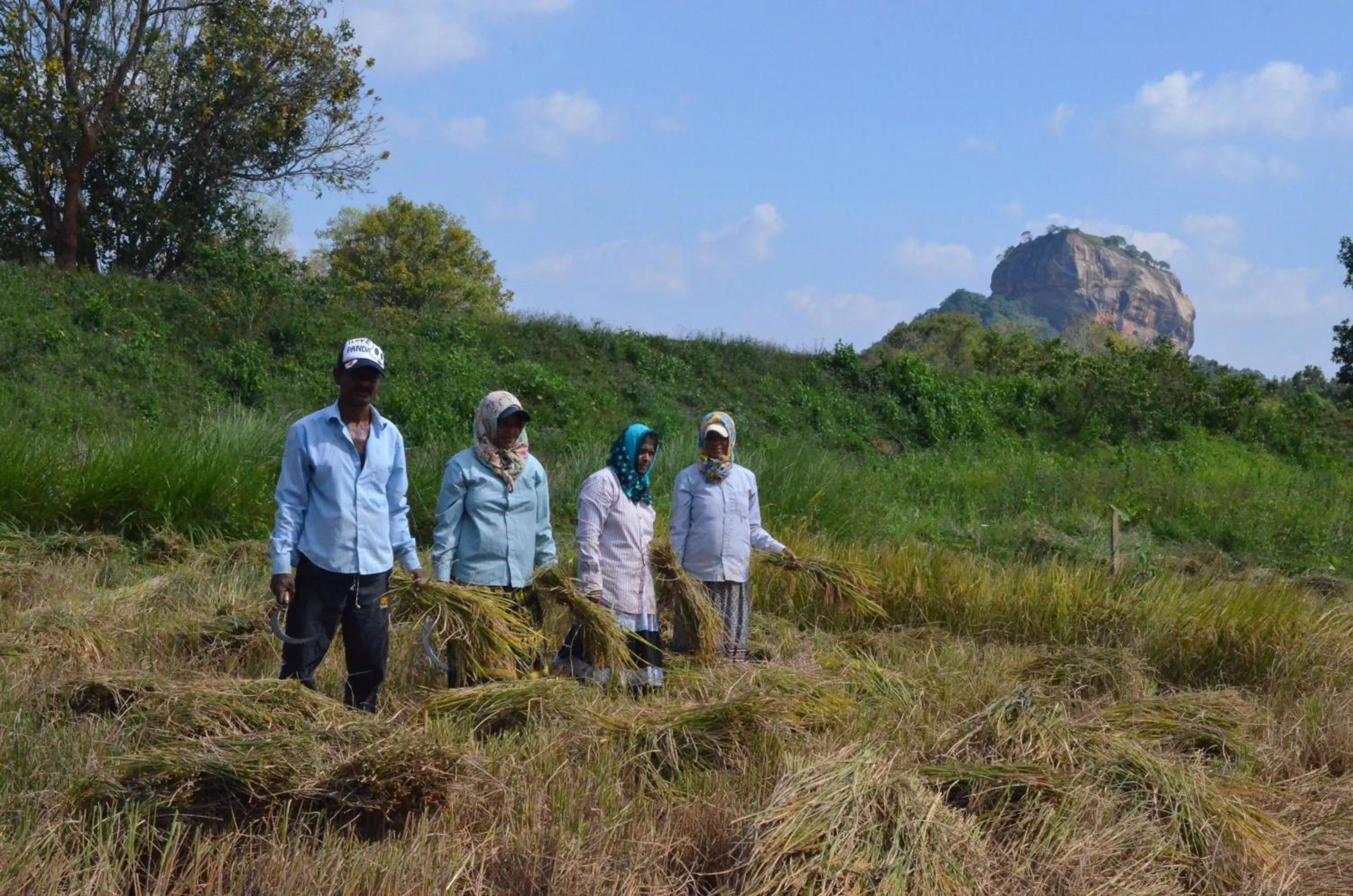 Spring in Sigiriya King's Resort