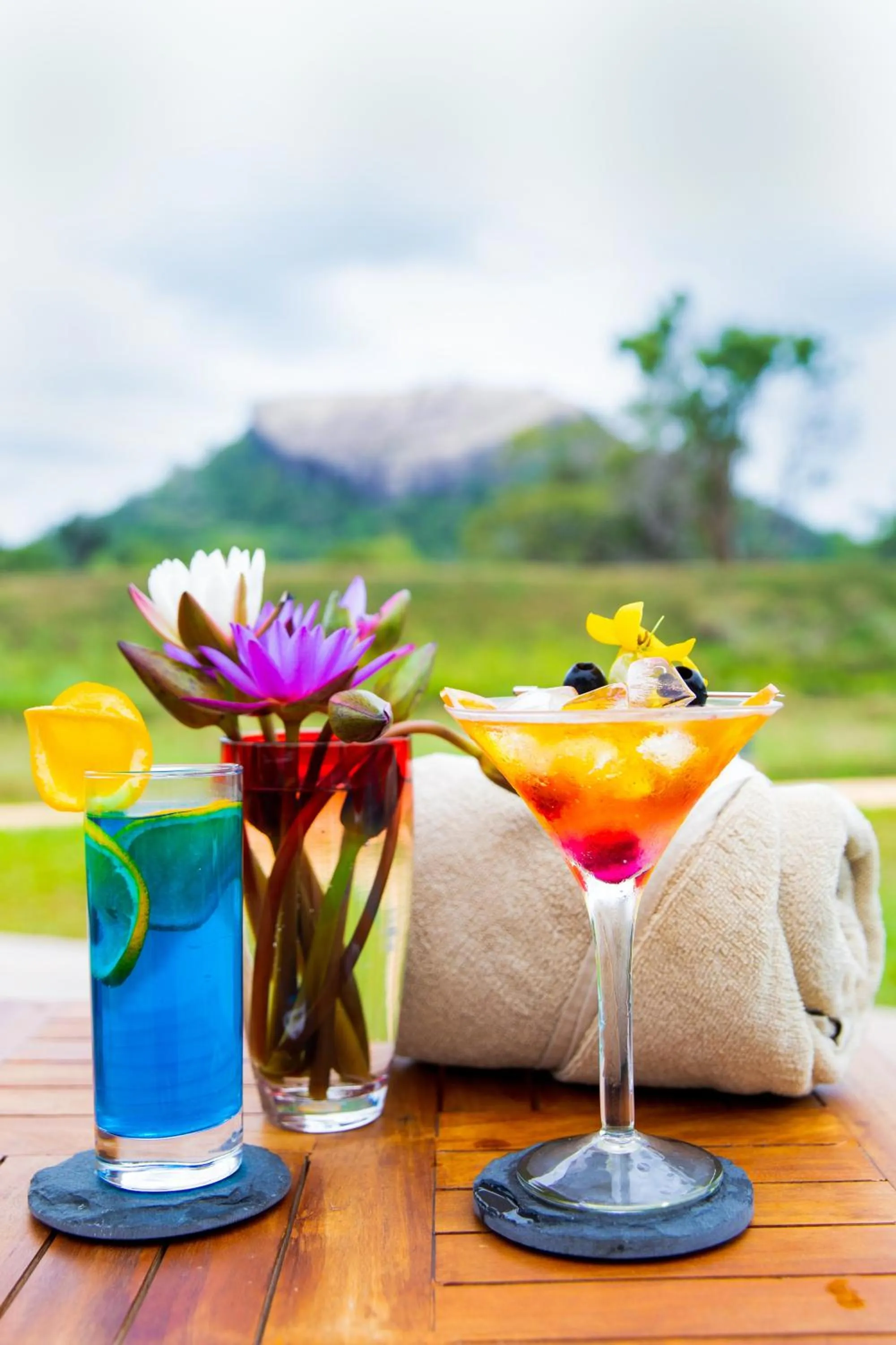 Natural landscape in Sigiriya King's Resort