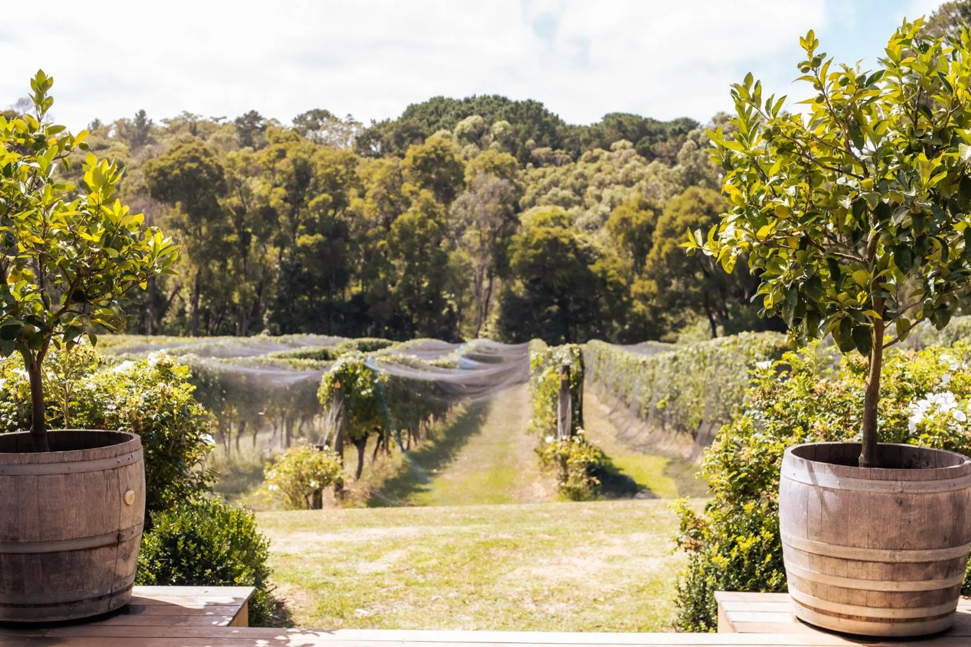 Quattro at Mantons Creek