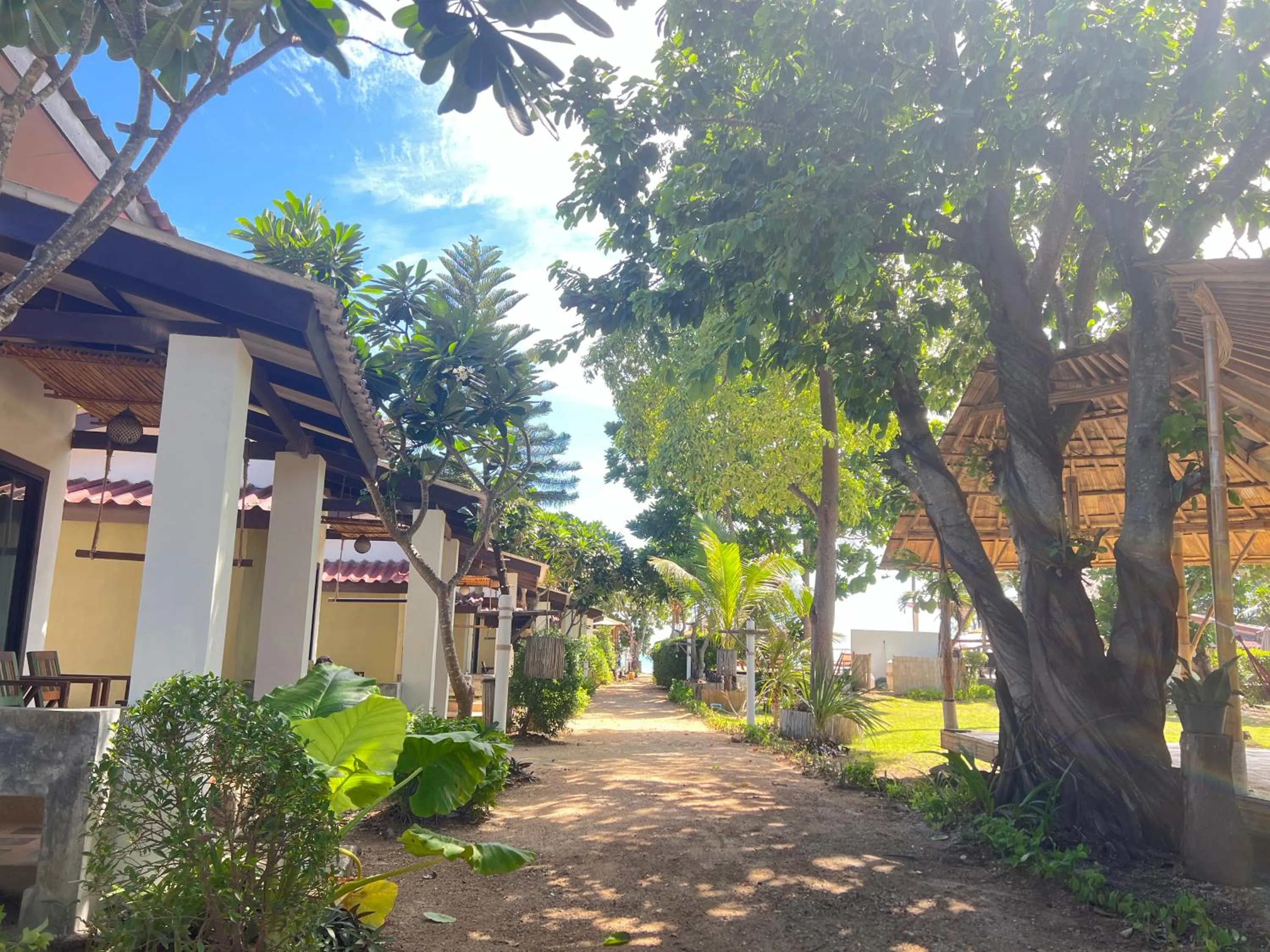 View (from property/room) in Coco Lanta Resort - SHA Extra Plus