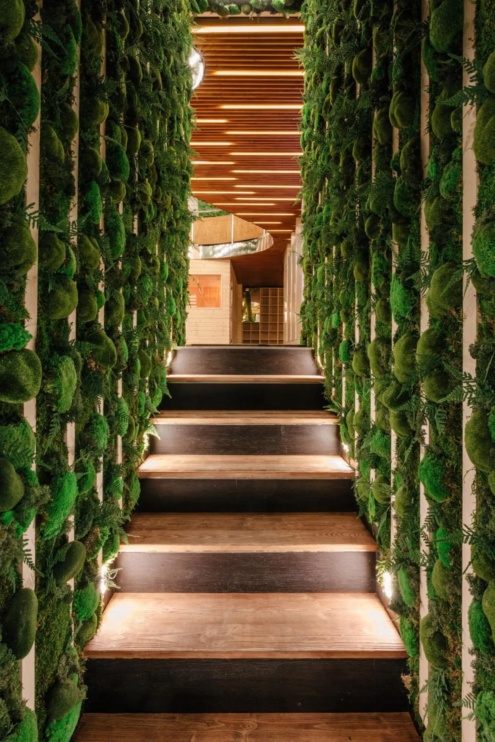 Spa and wellness centre/facilities in Wellness Rooms Central