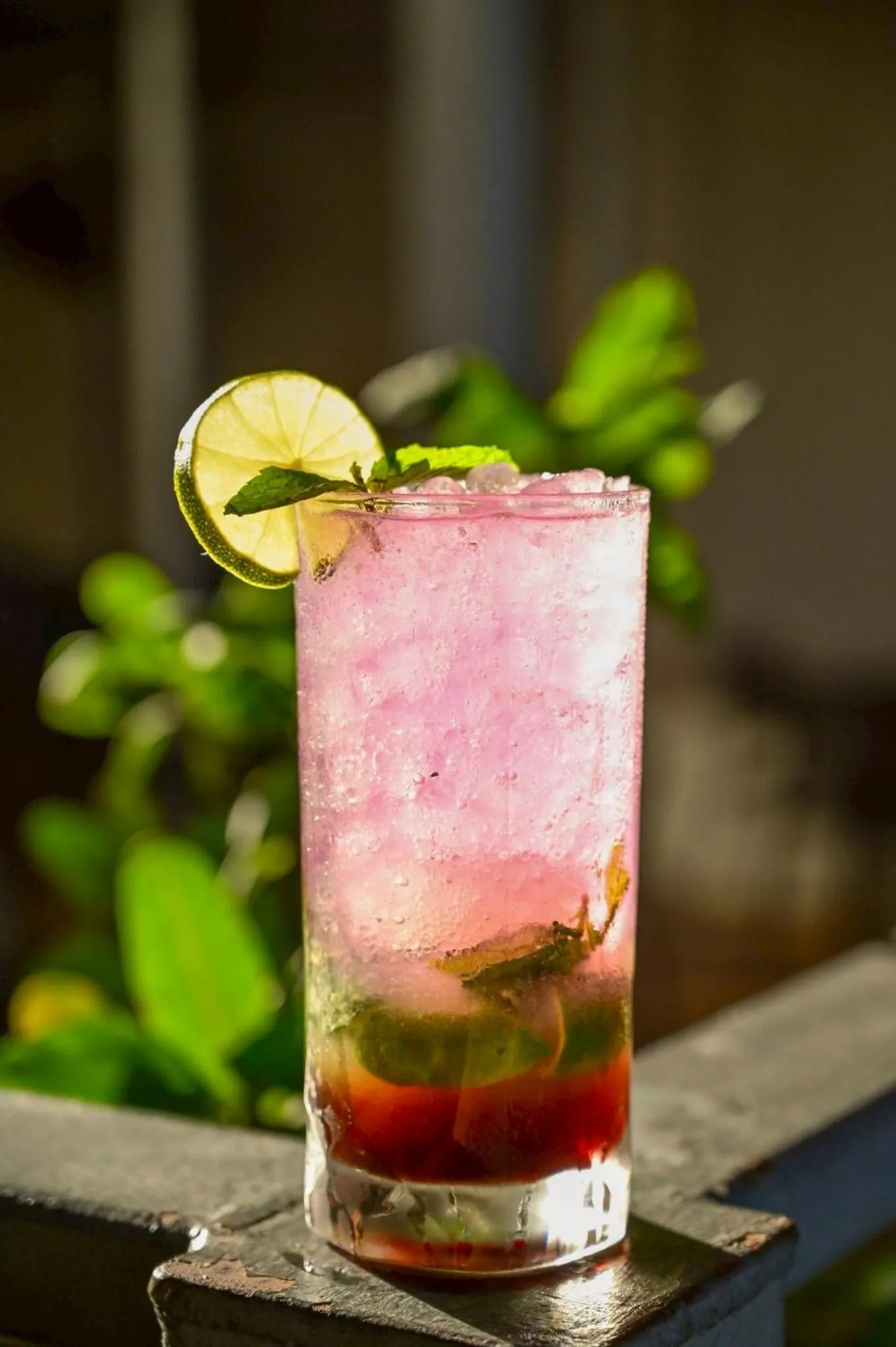 Food and drinks in The Cavalli Casa Resort