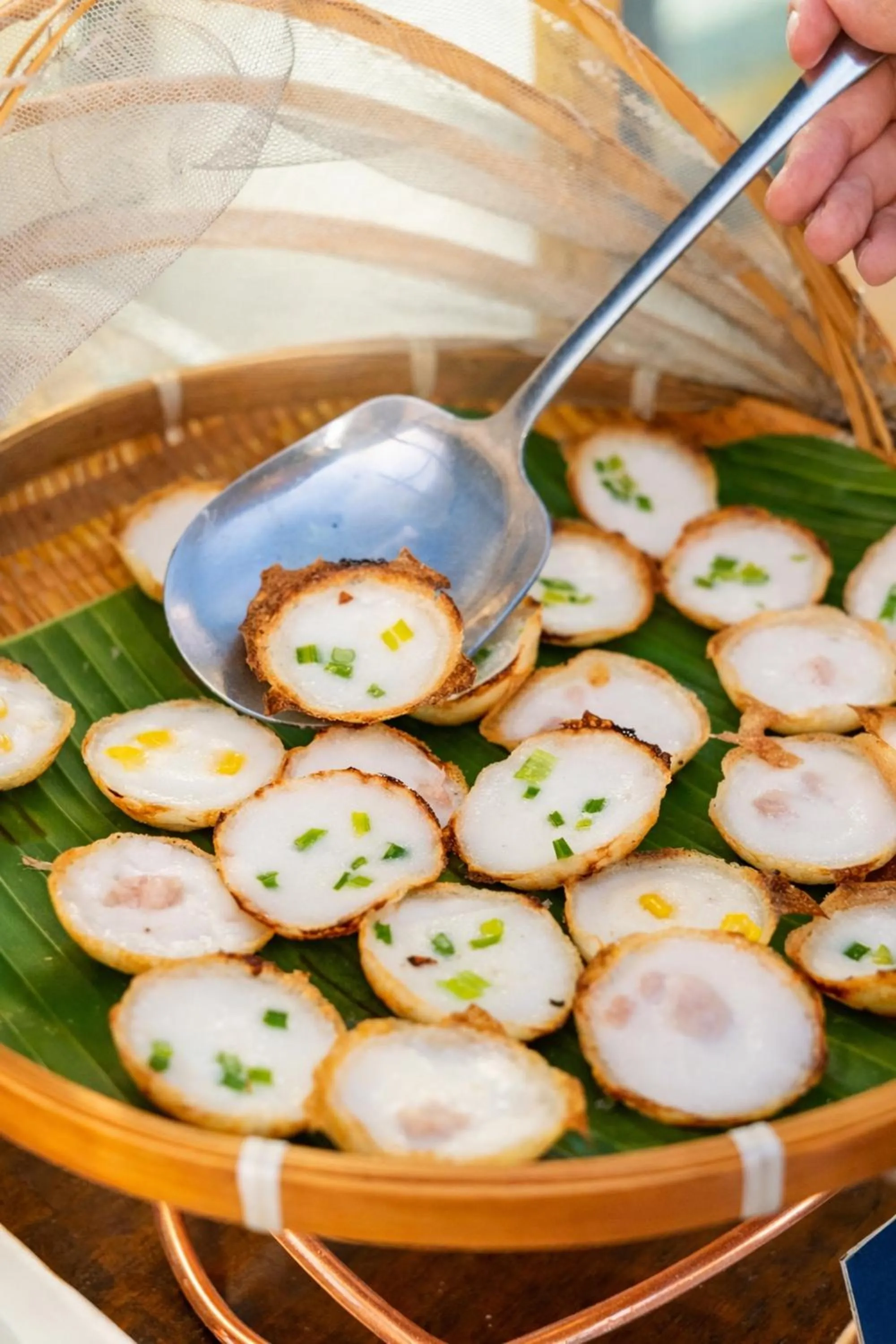 The Cavalli Casa Resort