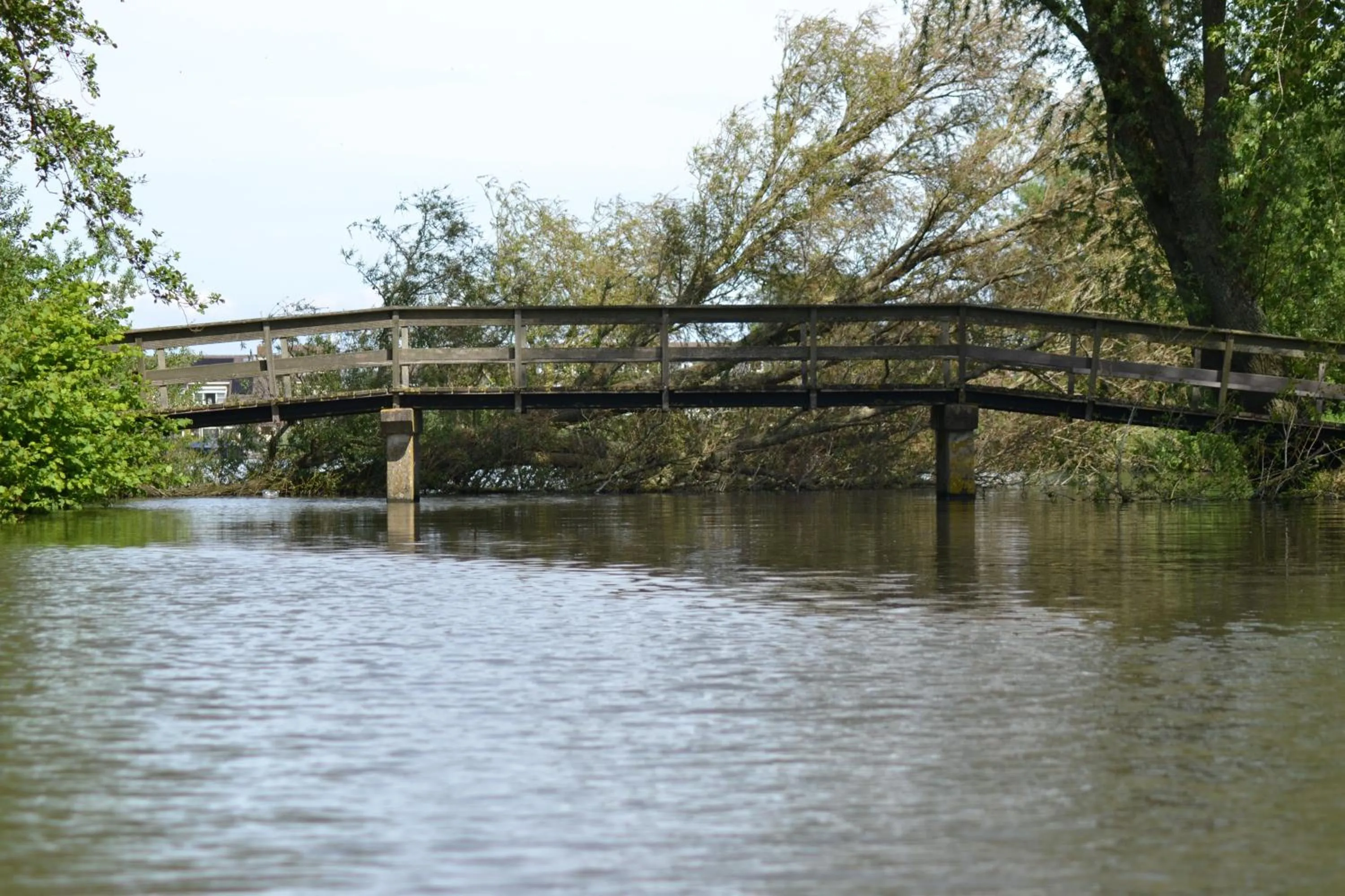 Natural landscape in lodge 61 hotel aan het water