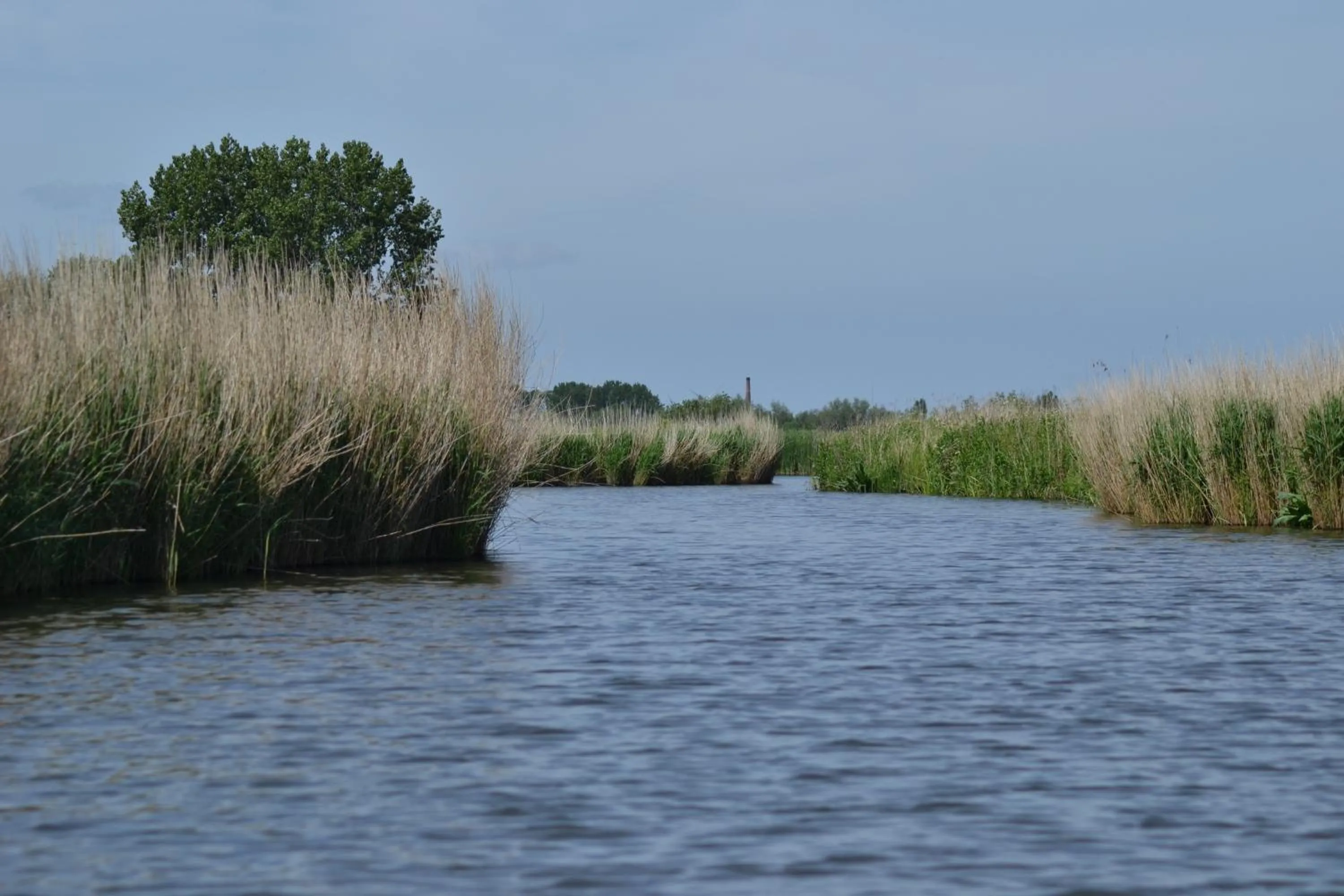Natural landscape in lodge 61 hotel aan het water