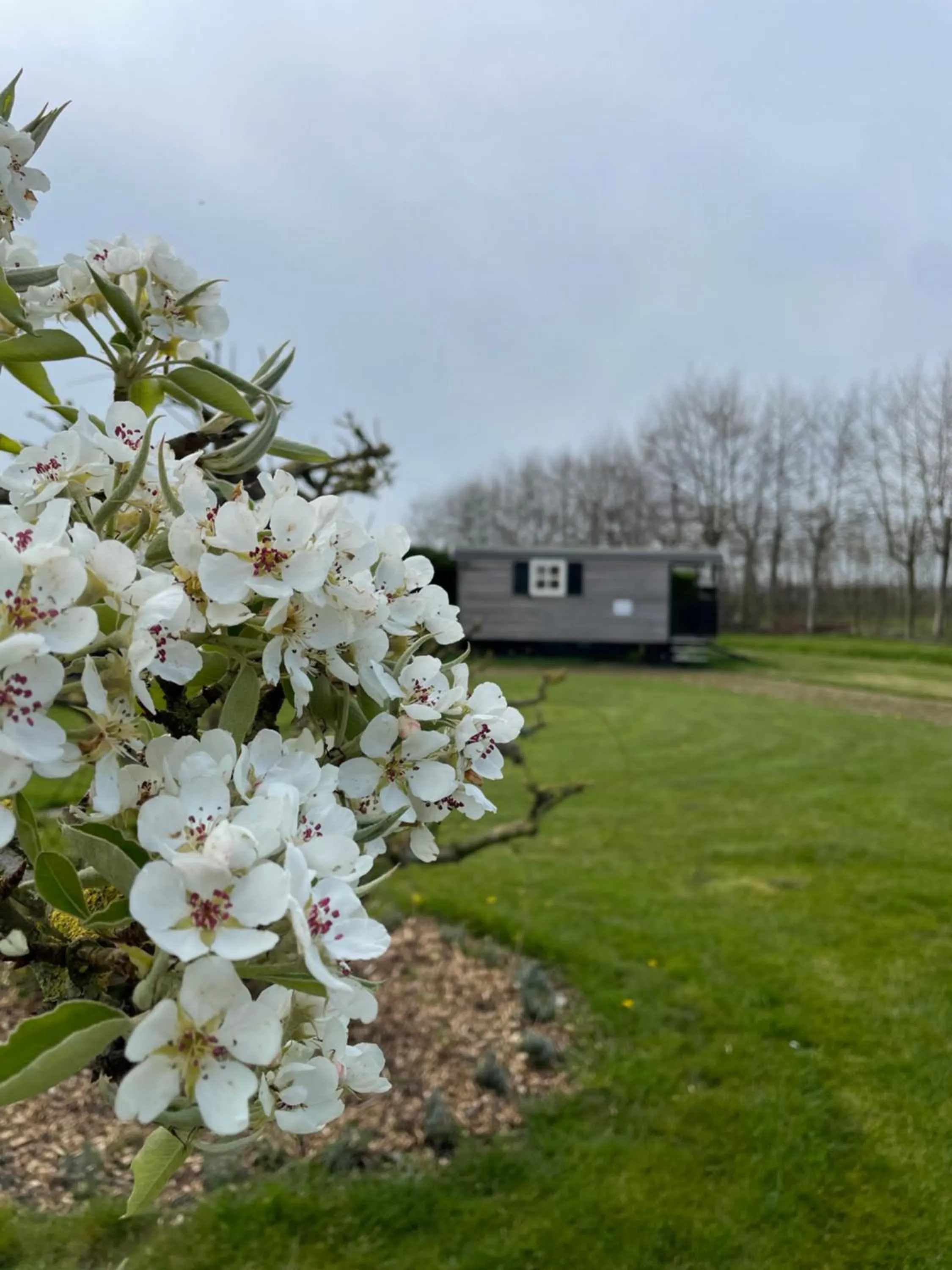 Property building in lodge 61 hotel aan het water