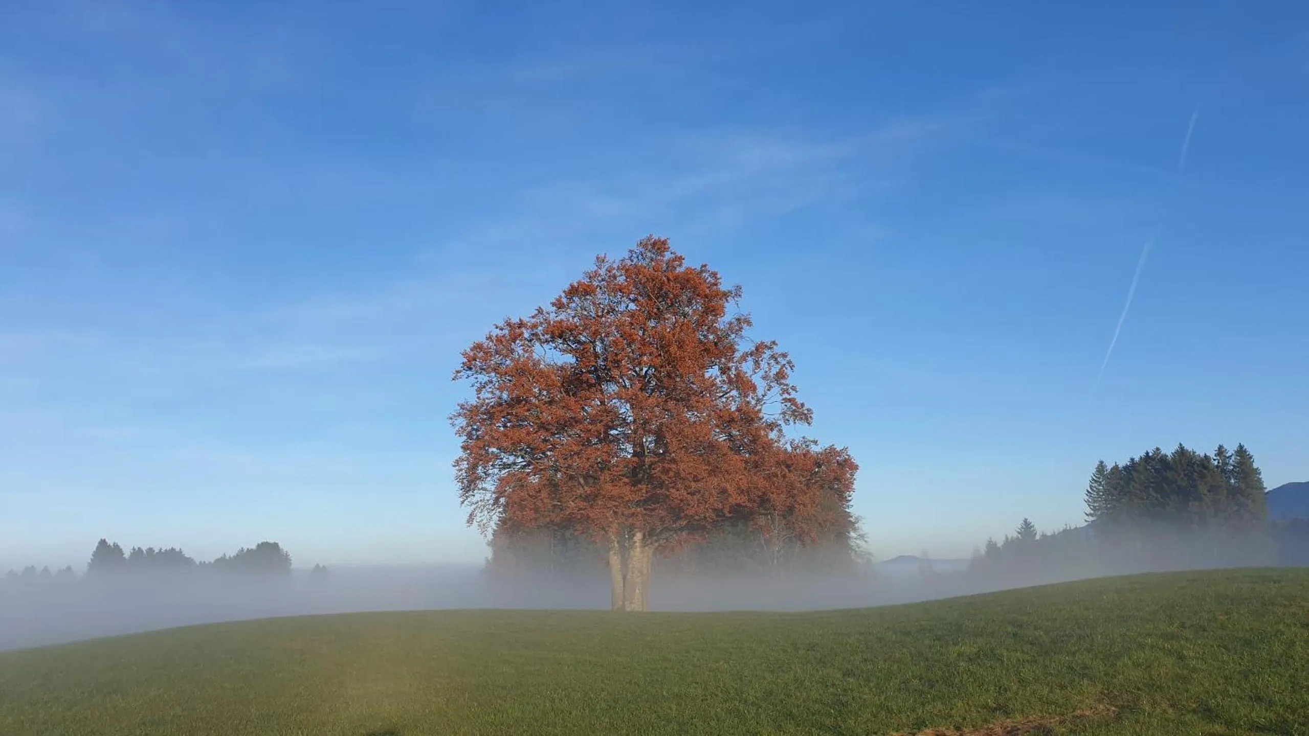 Natural landscape in Seehotel und Appartements Schnöller