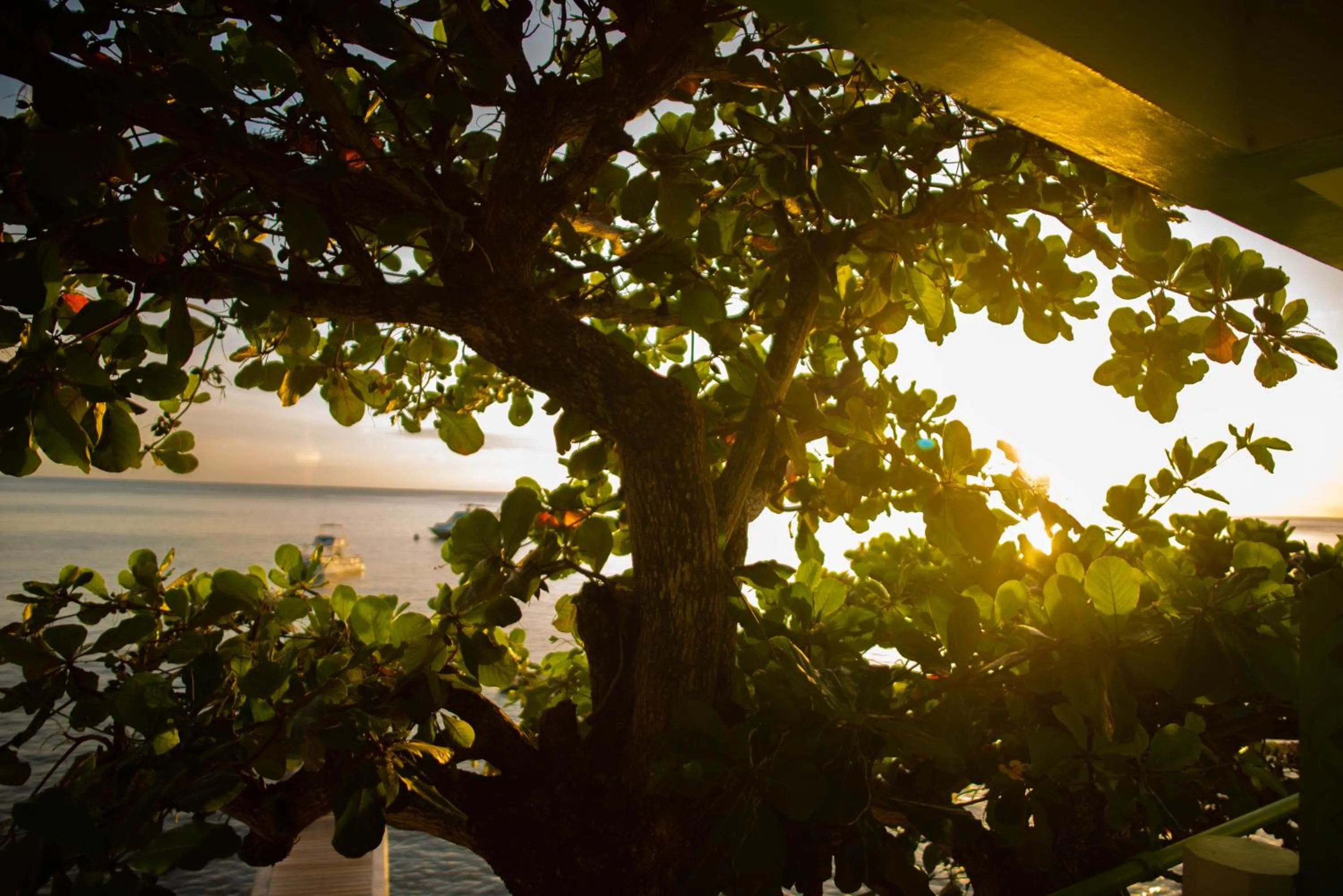 Natural landscape in Ocean's Edge Lodge Restaurant & Bar