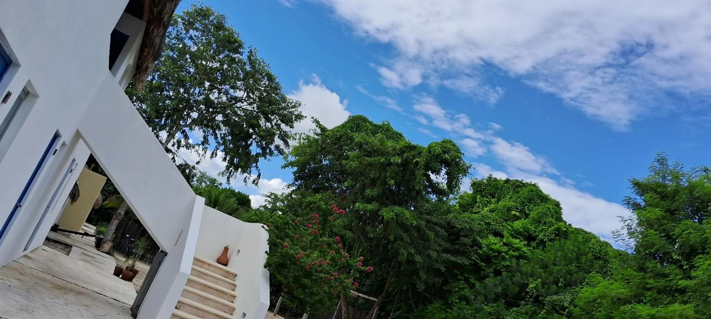 Natural landscape in Hotel Posada Mykonos