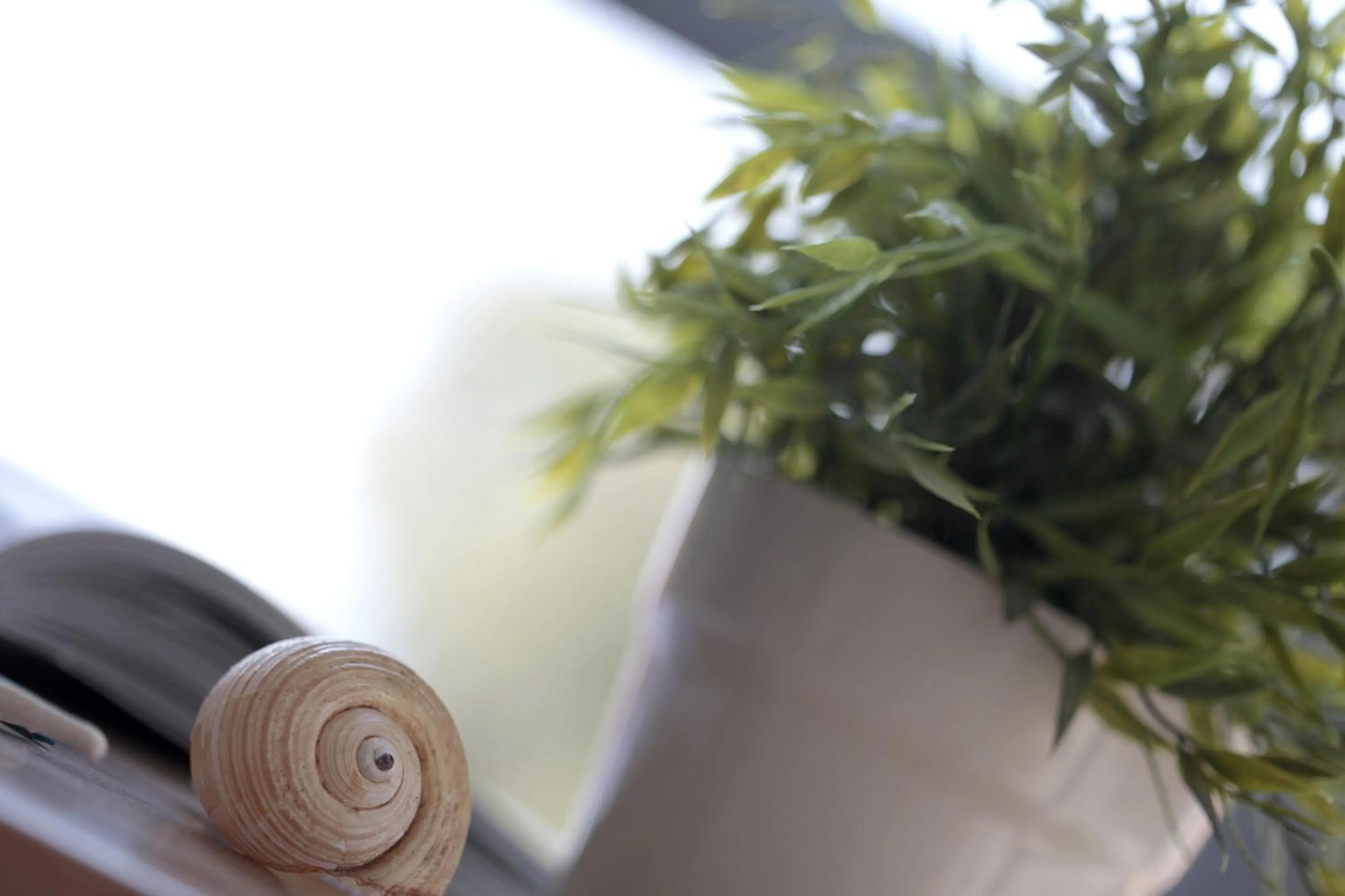 Restaurant/places to eat in Marialena Hotel