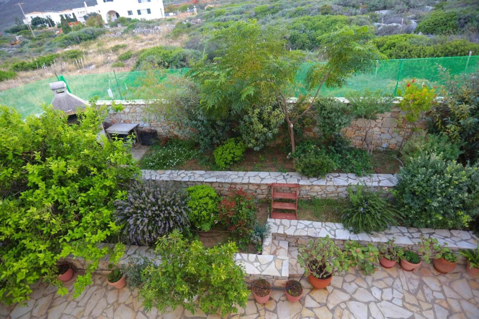 Garden in Athena Kythera