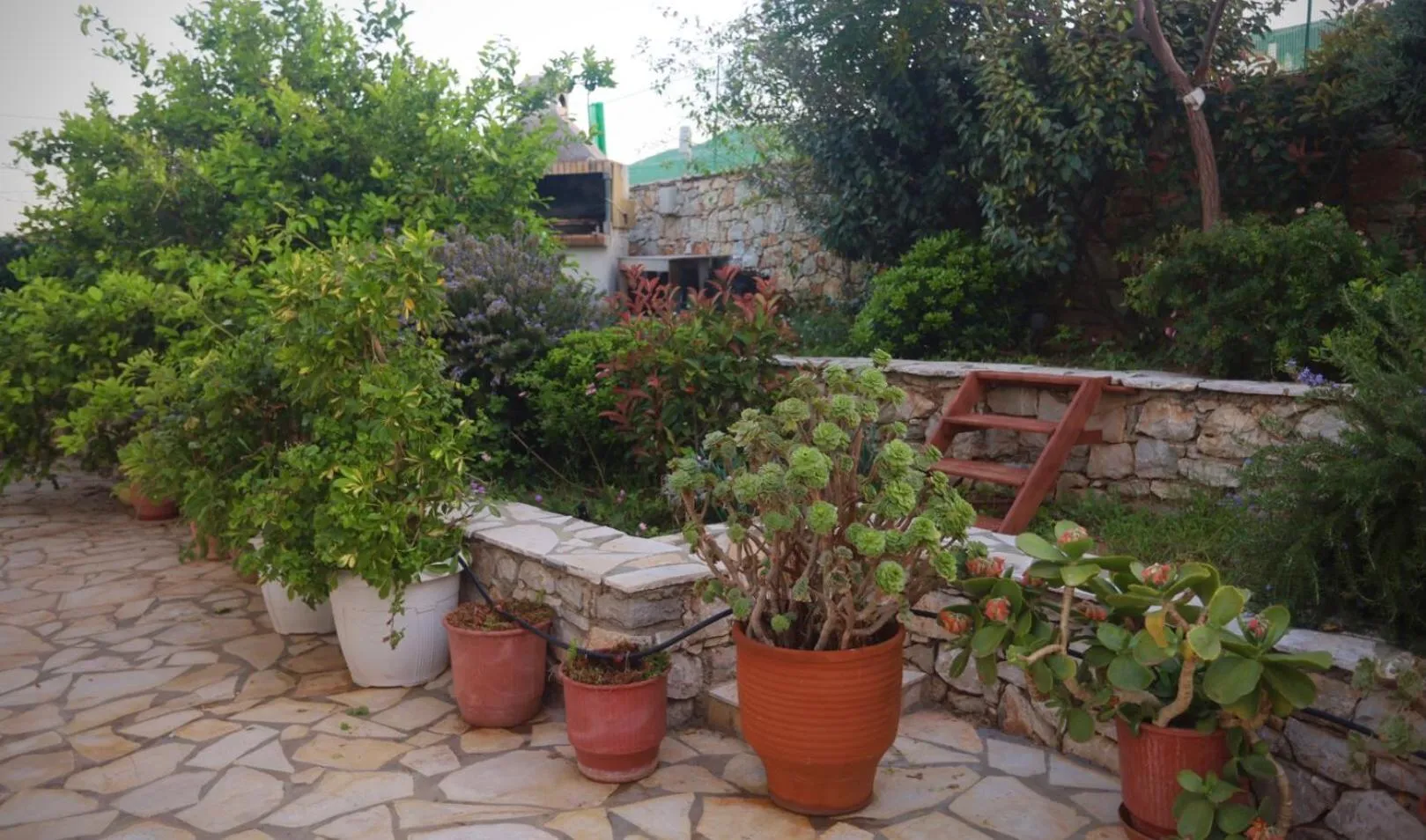 Garden in Athena Kythera