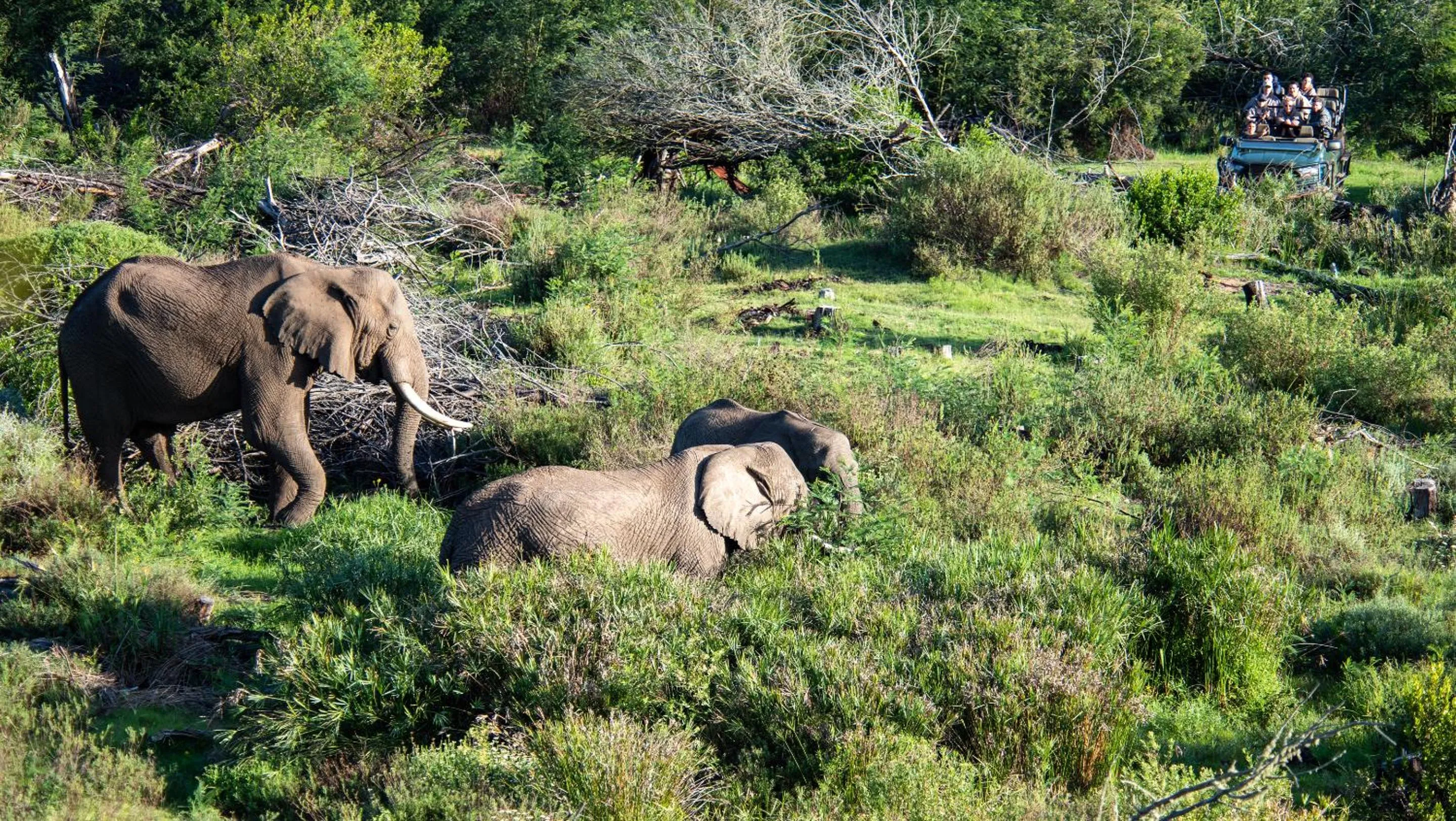 Activities in Gondwana Game Reserve