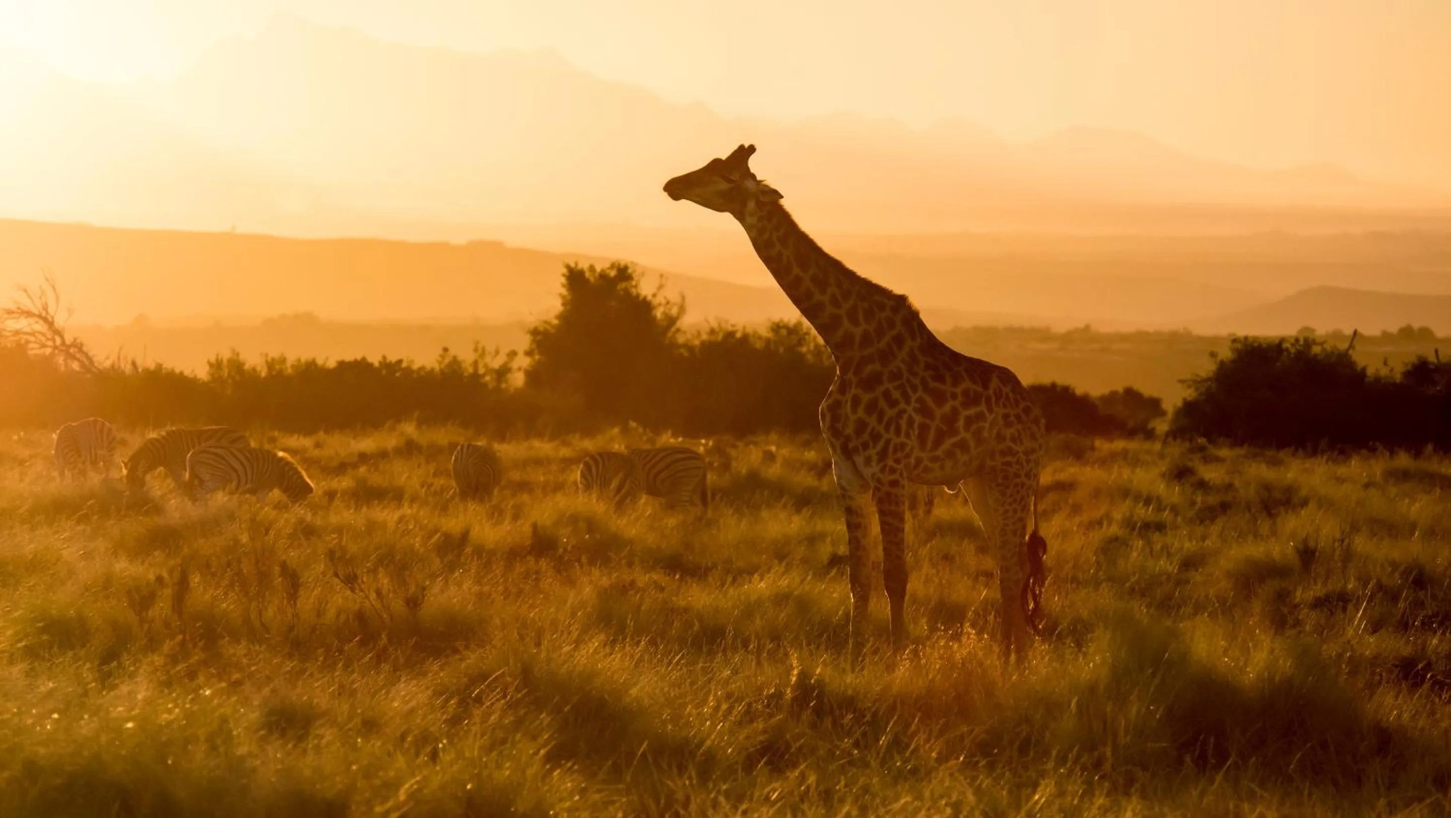 Activities in Gondwana Game Reserve