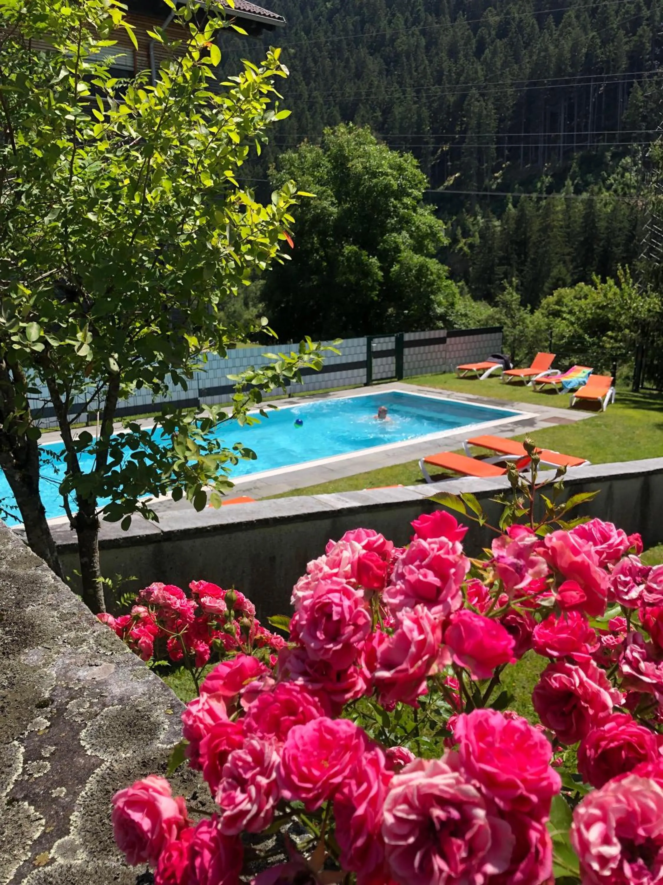 Swimming pool in Appart Gastauer