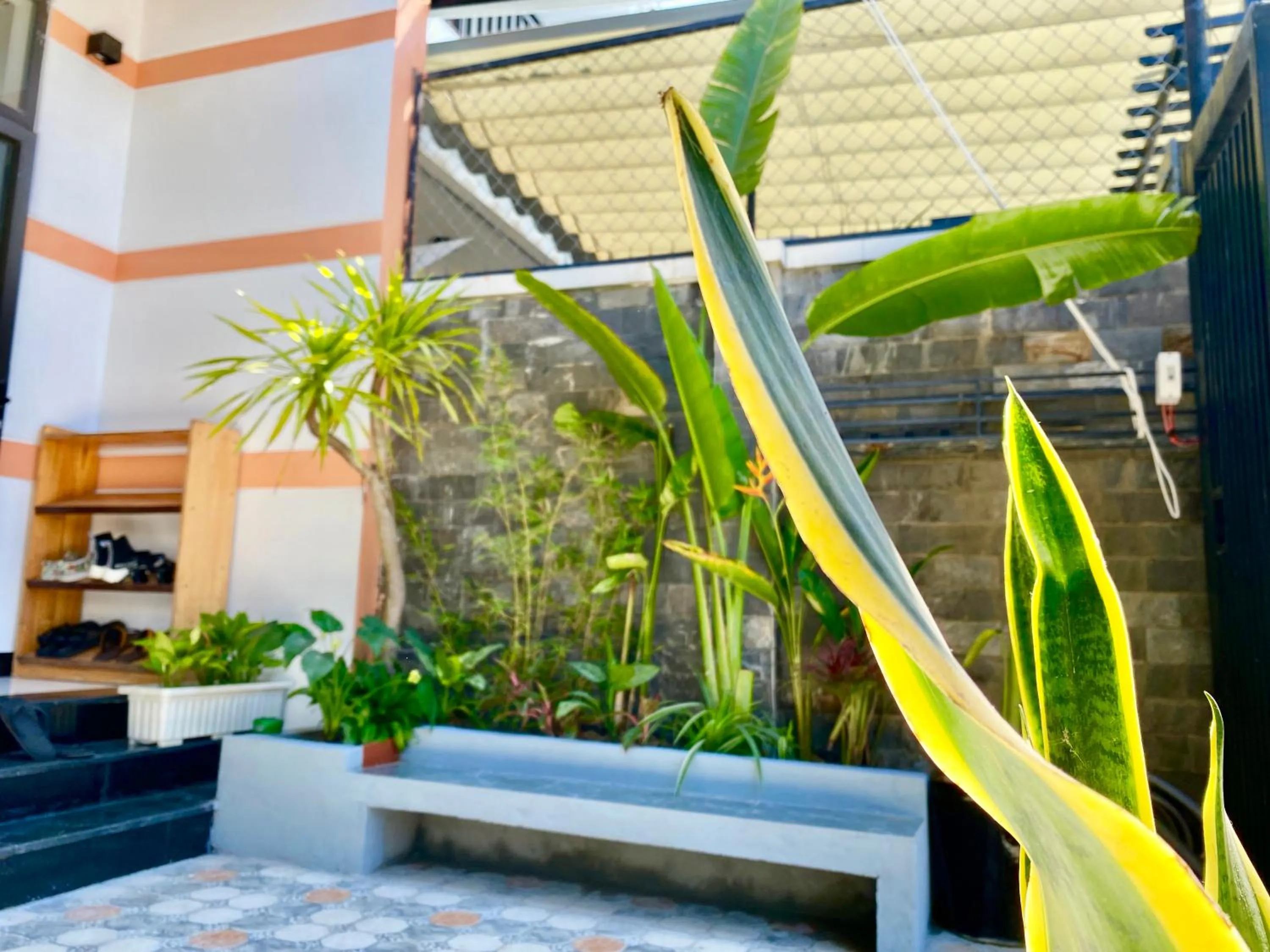 Little Boss Homestay