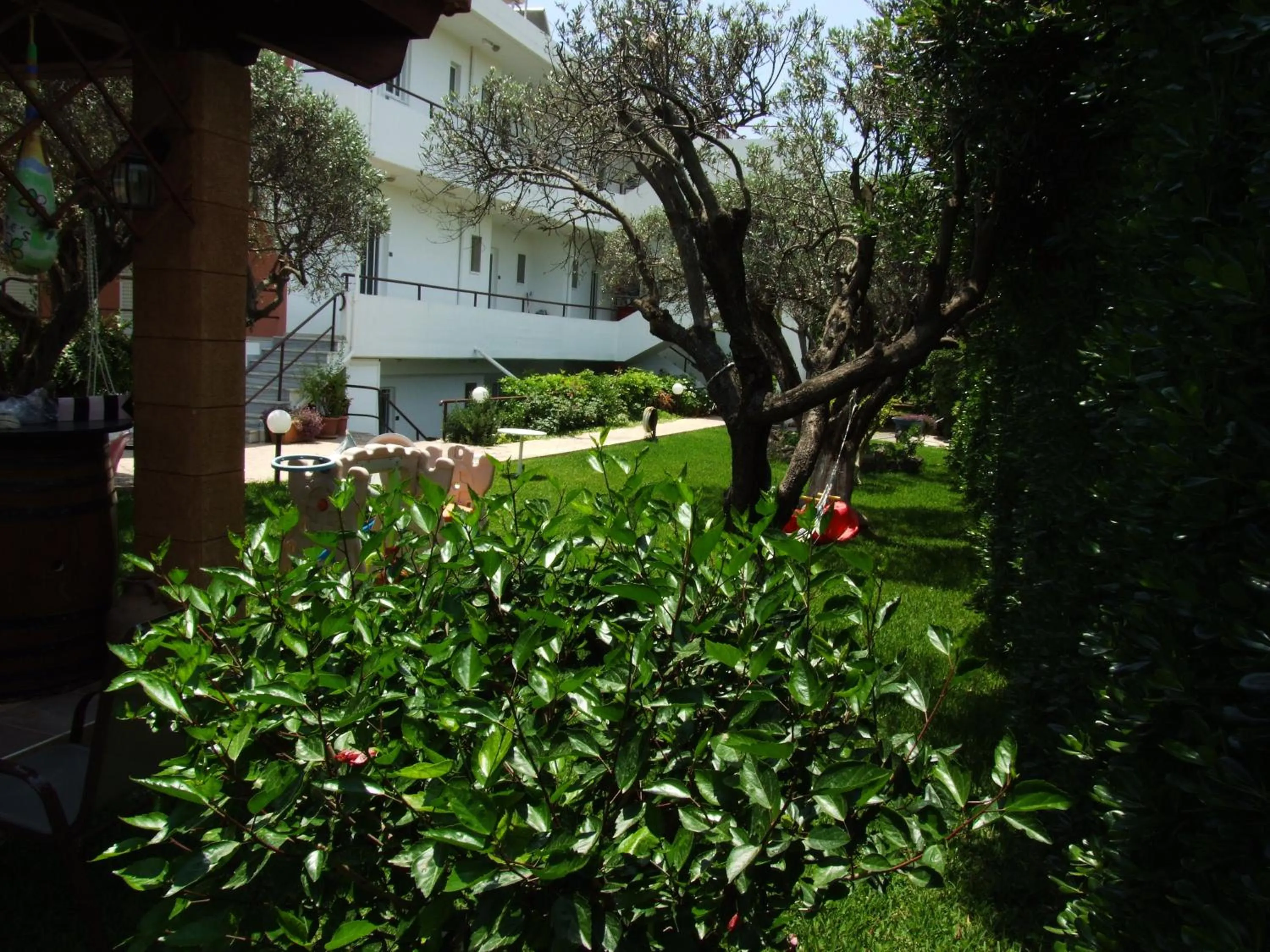 Garden in Sokrates Studios