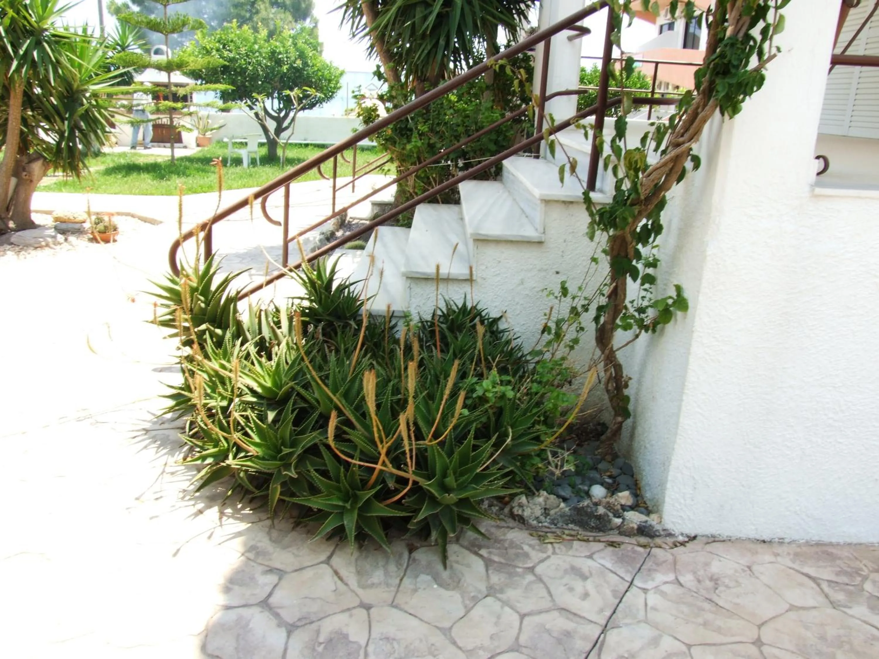 Other in Sokrates Studios