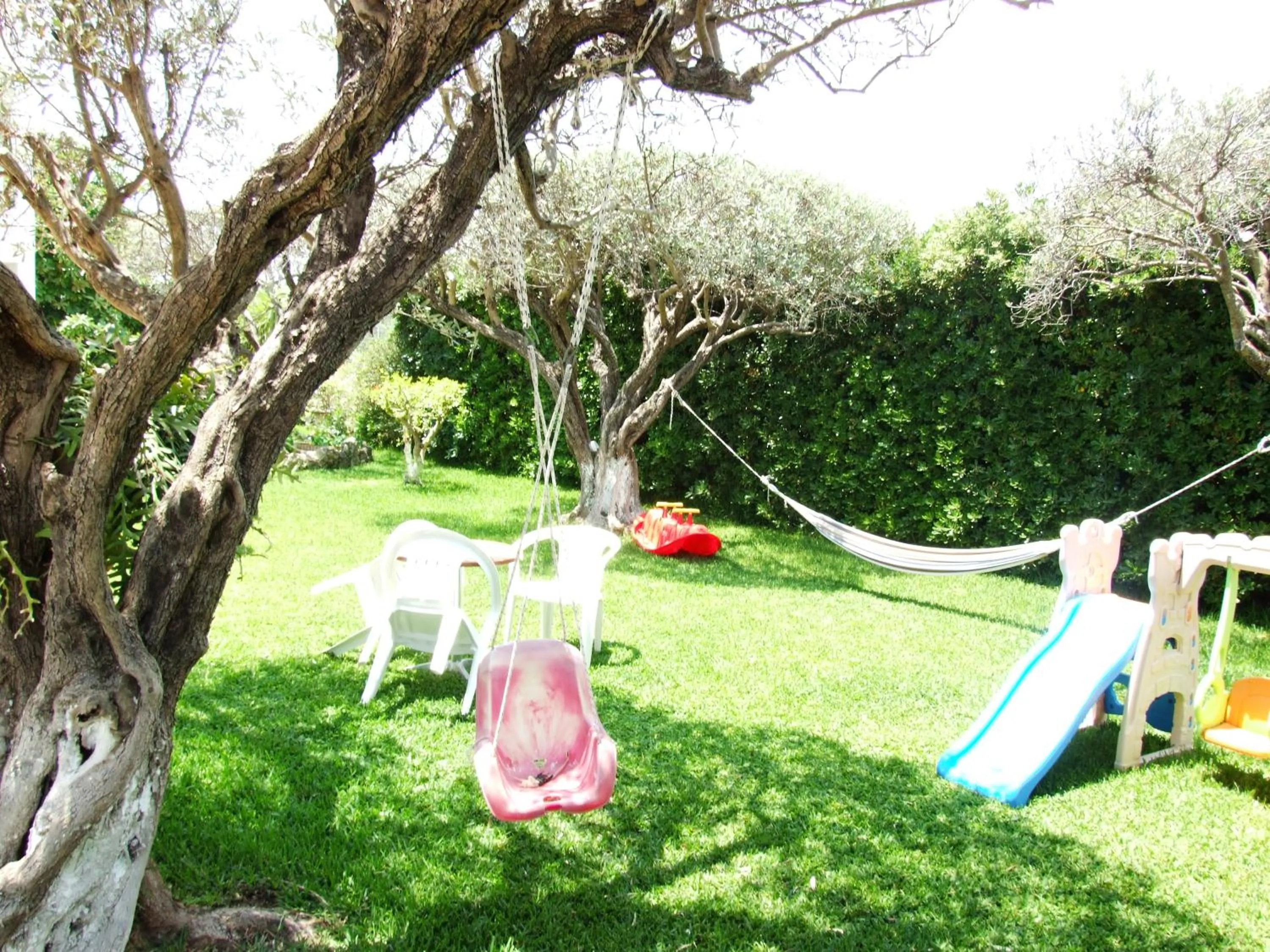 Garden in Sokrates Studios