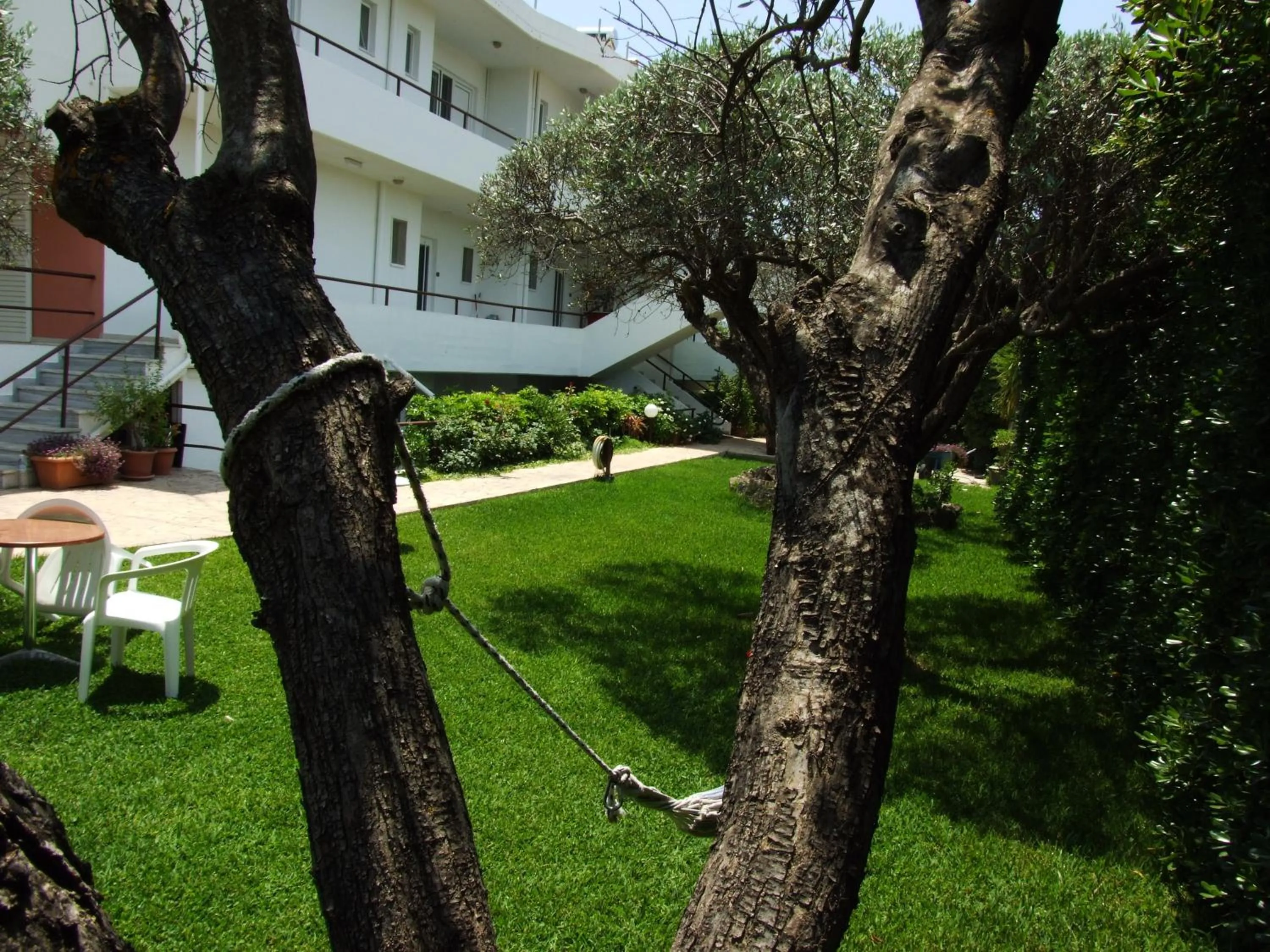 Garden in Sokrates Studios