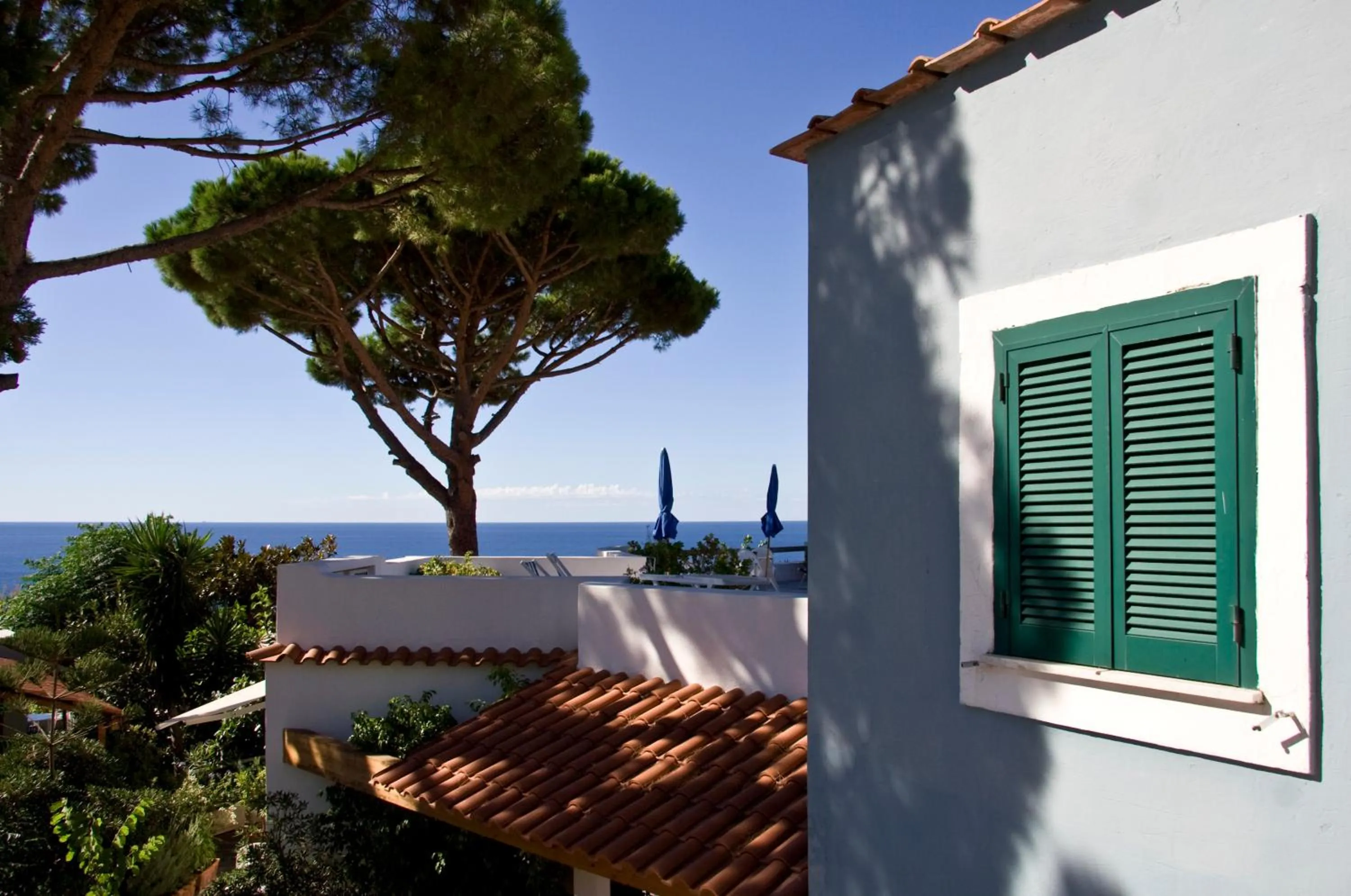 Garden in Albergo Villa Mario