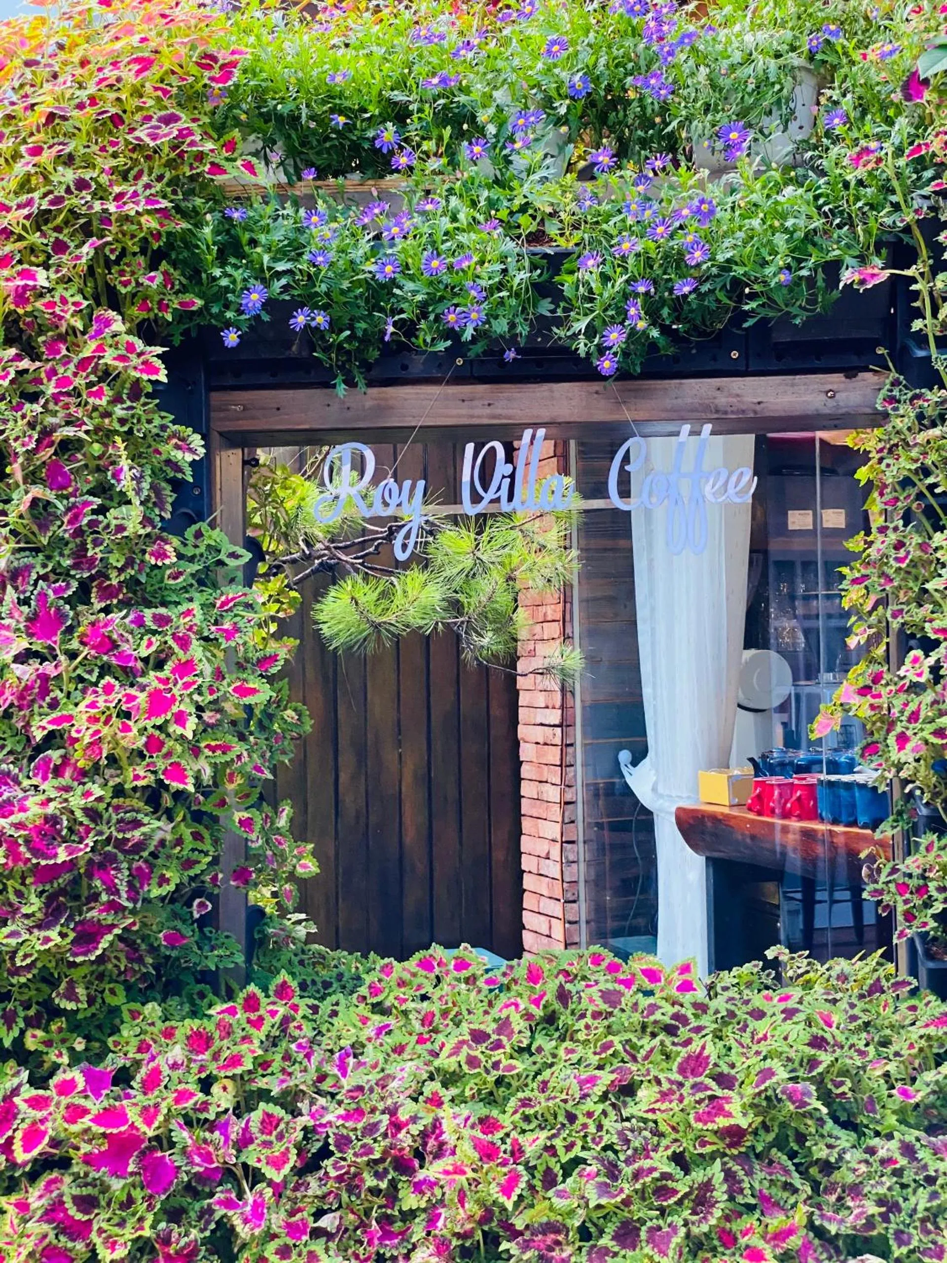 Property building in ROY VILLA COFFEE