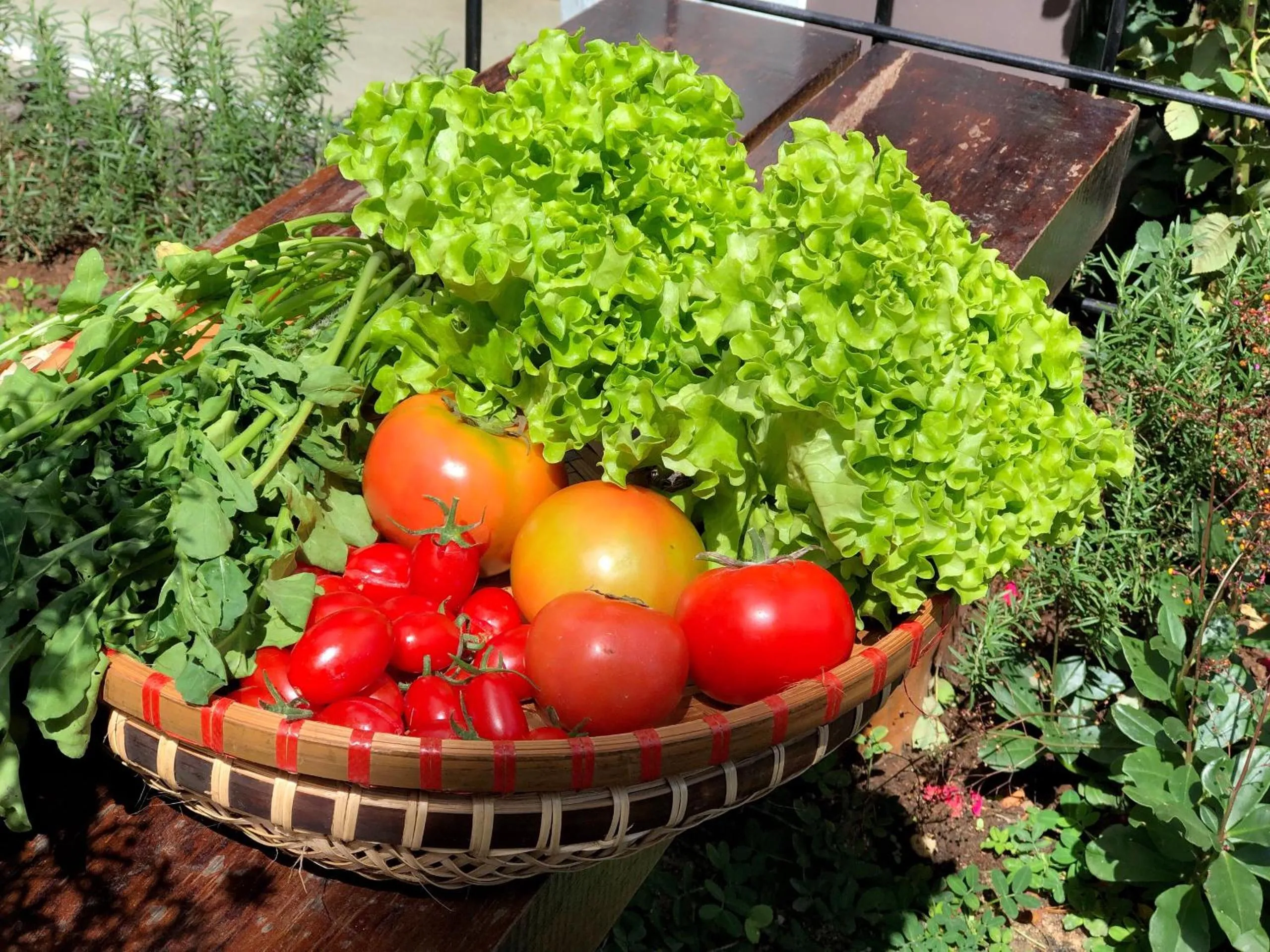 Restaurant/places to eat in ROY VILLA COFFEE