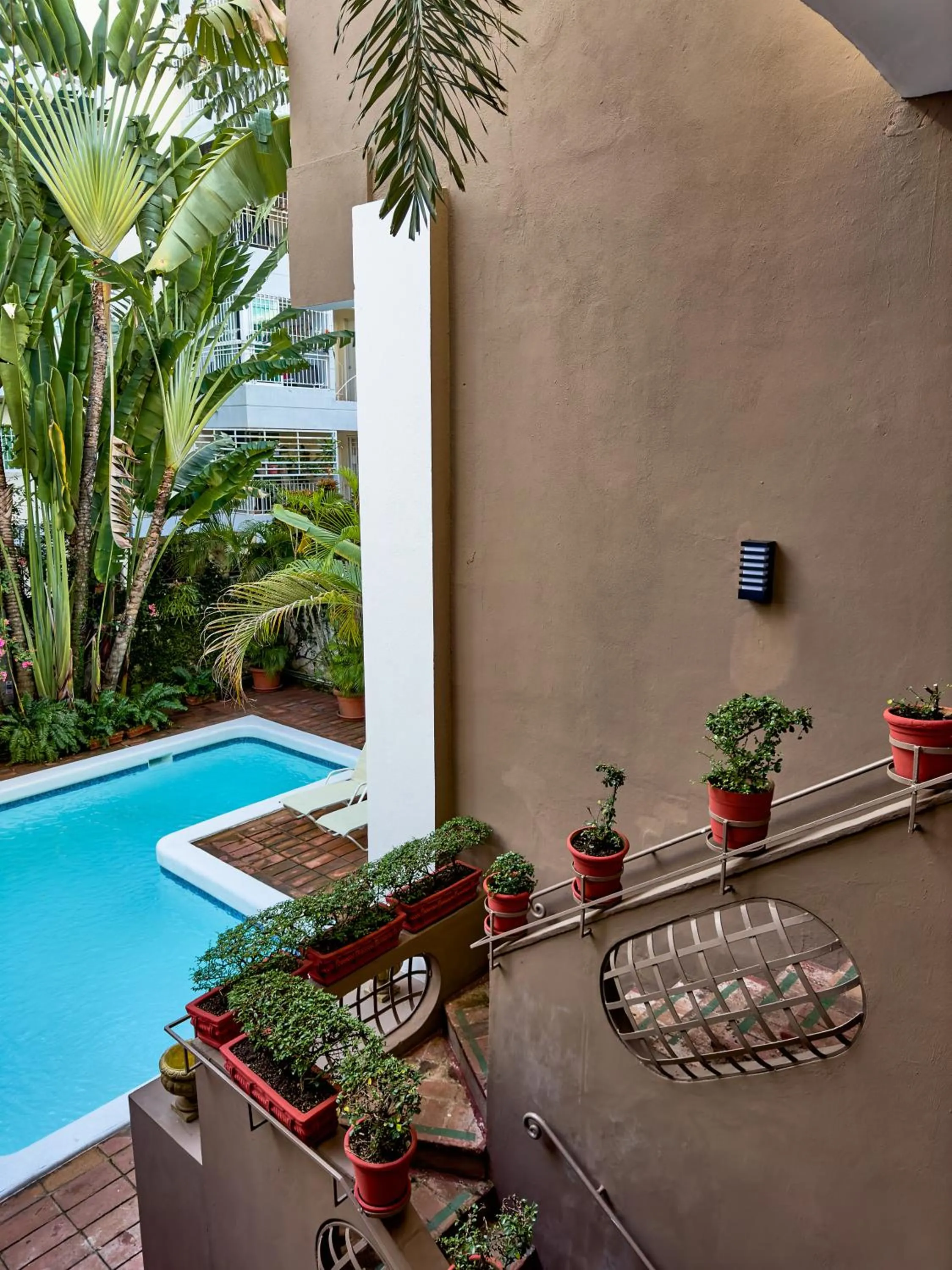 Garden view in Hotel San Marco