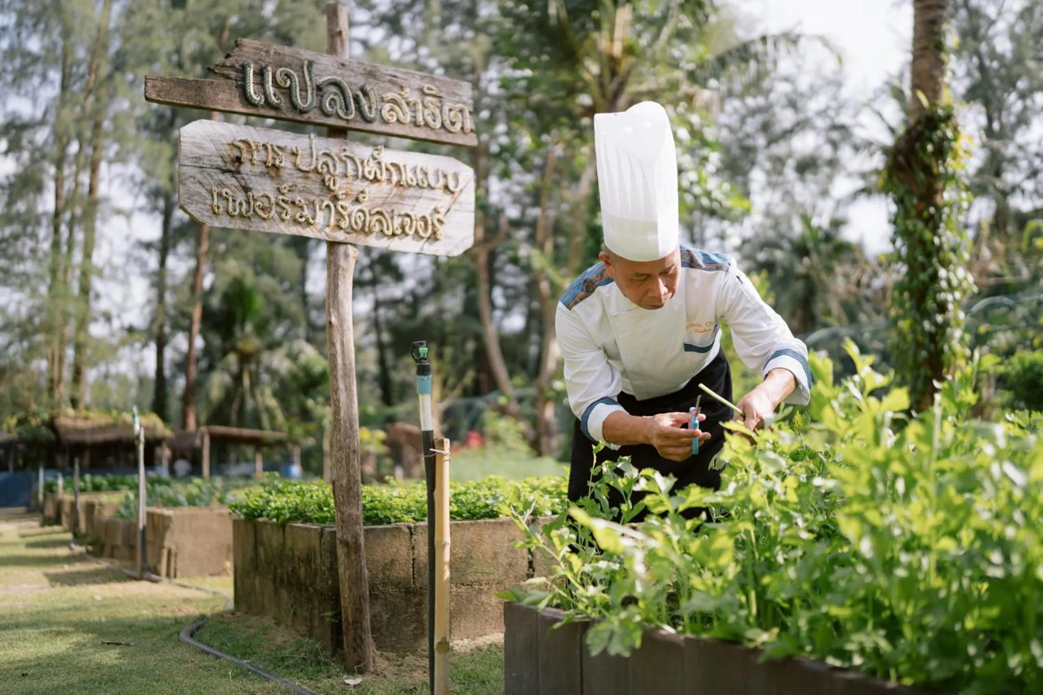Spring in Apsara Beachfront Resort & Villa