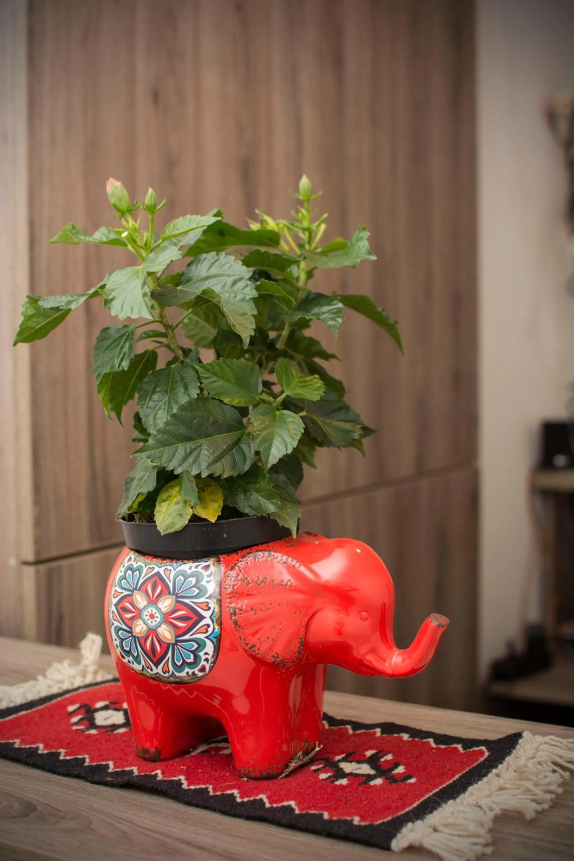 Breakfast in Beo Green View