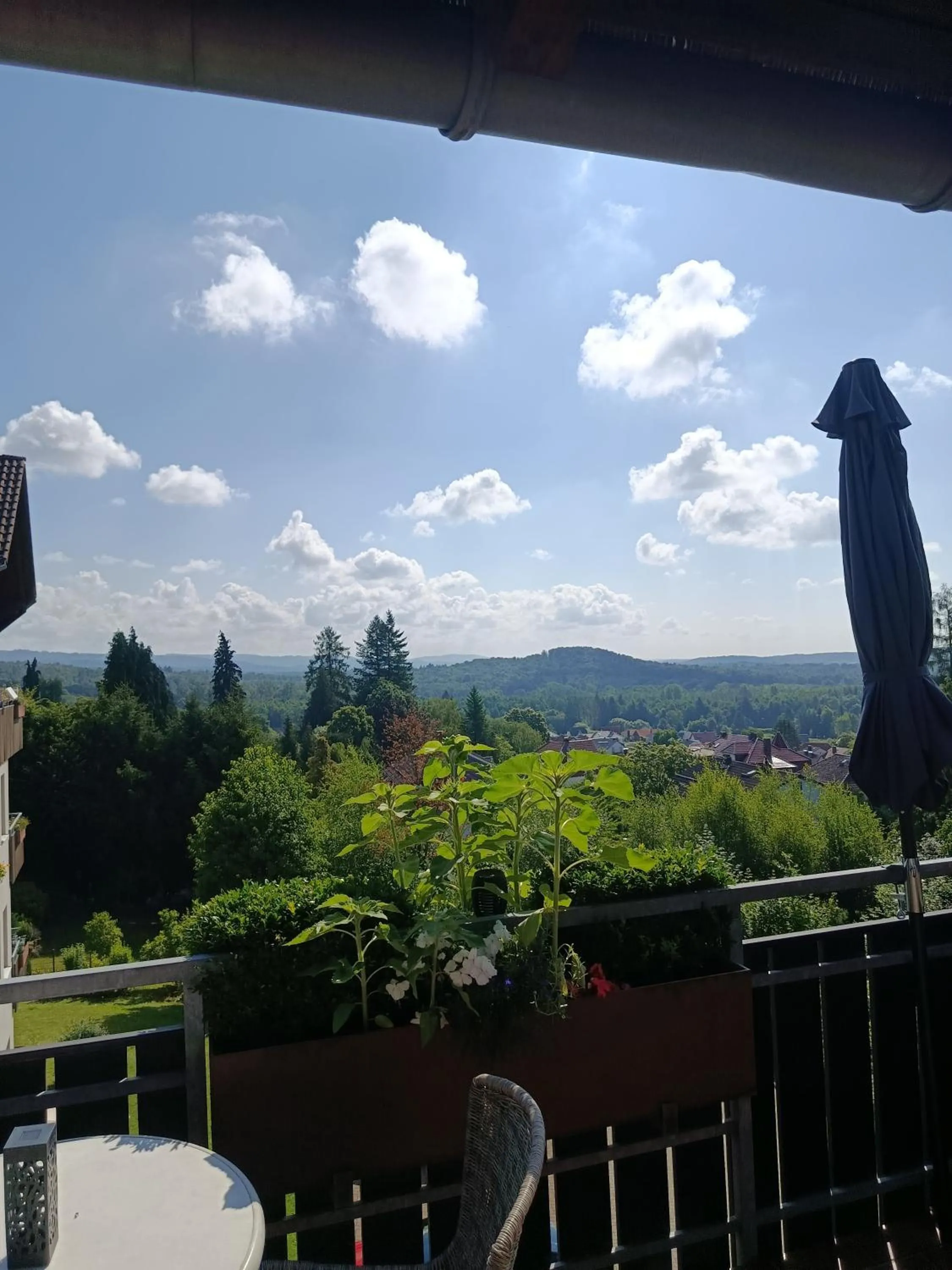 View (from property/room) in Residenz Sachsensteinblick