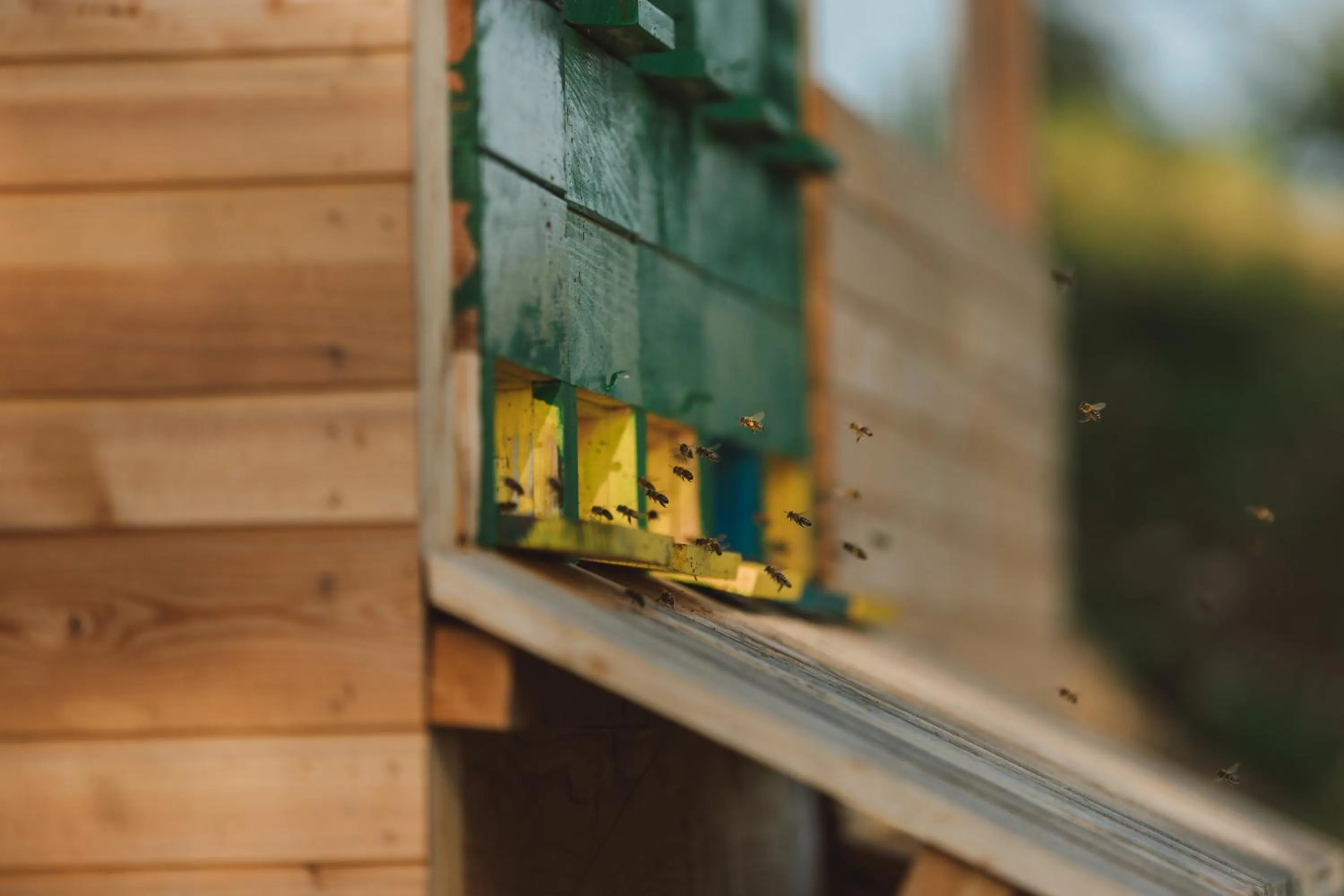 Spa and wellness centre/facilities in Tourist Farm Pr'Dovar