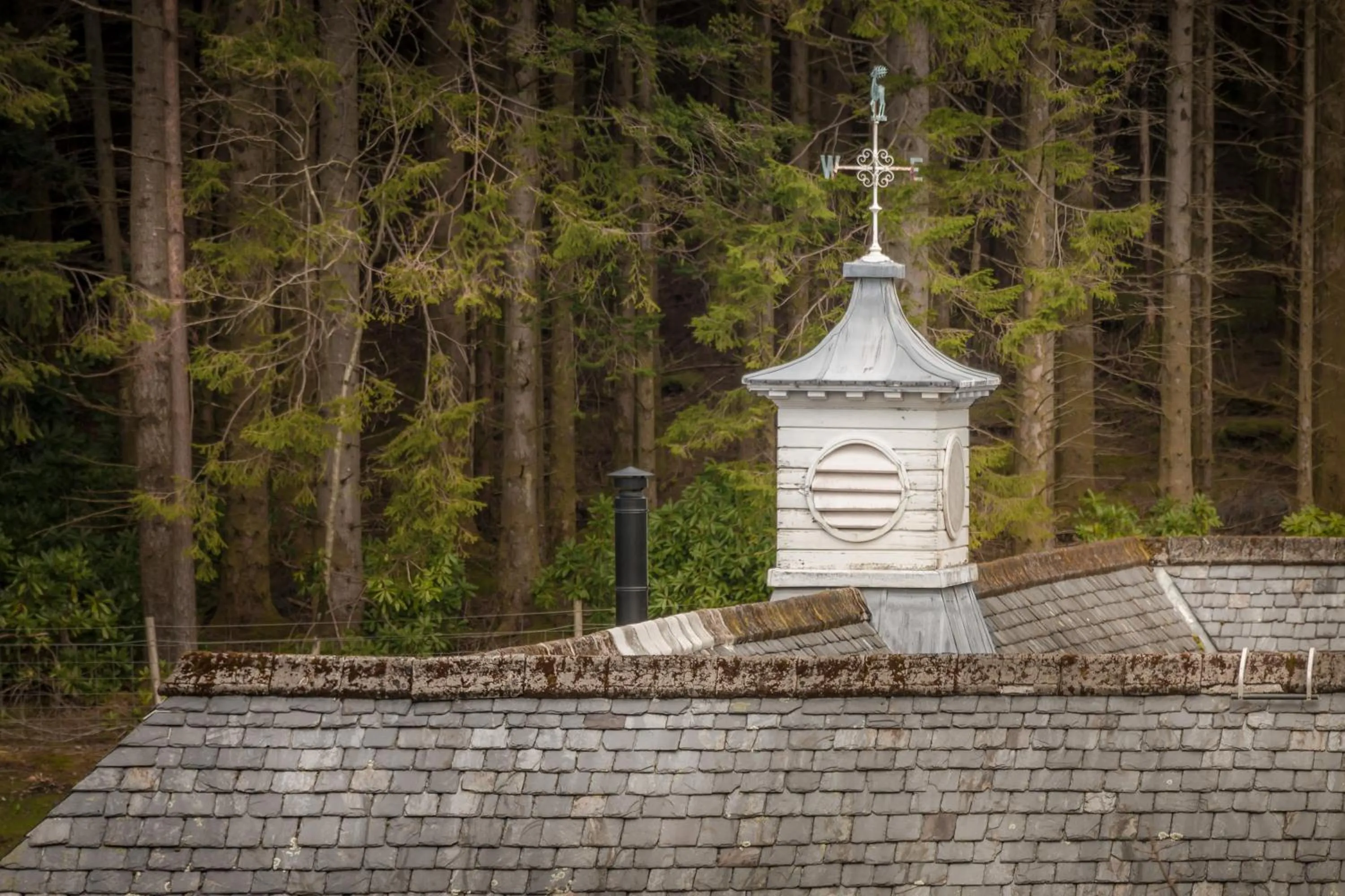 Decorative detail in Glencoe House