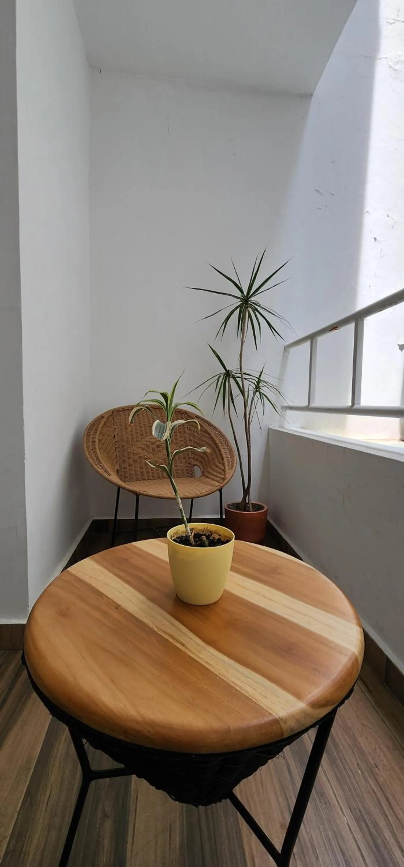 Area and facilities in La Martina Boutique Hotel