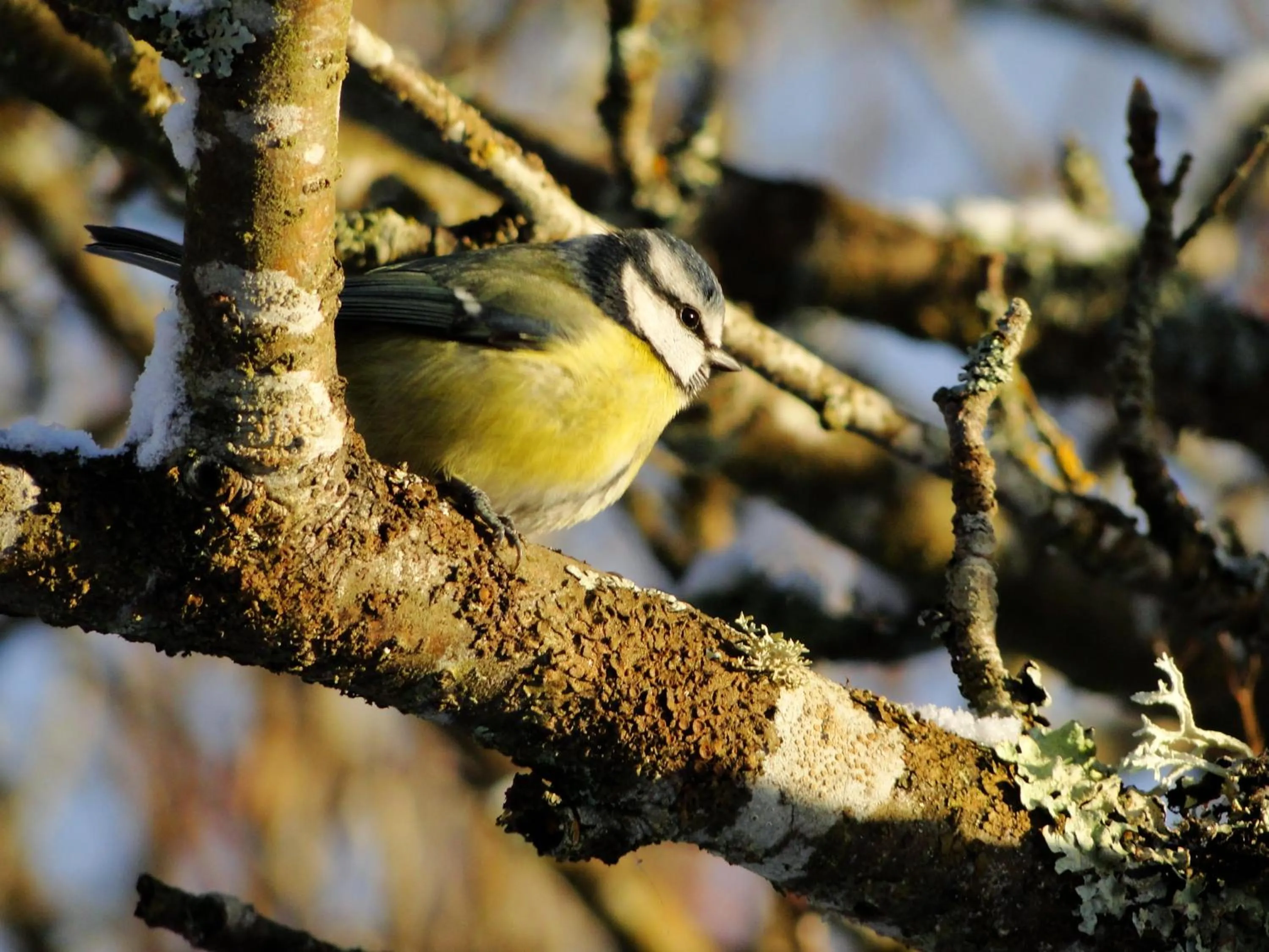 Natural landscape in Park Guest House
