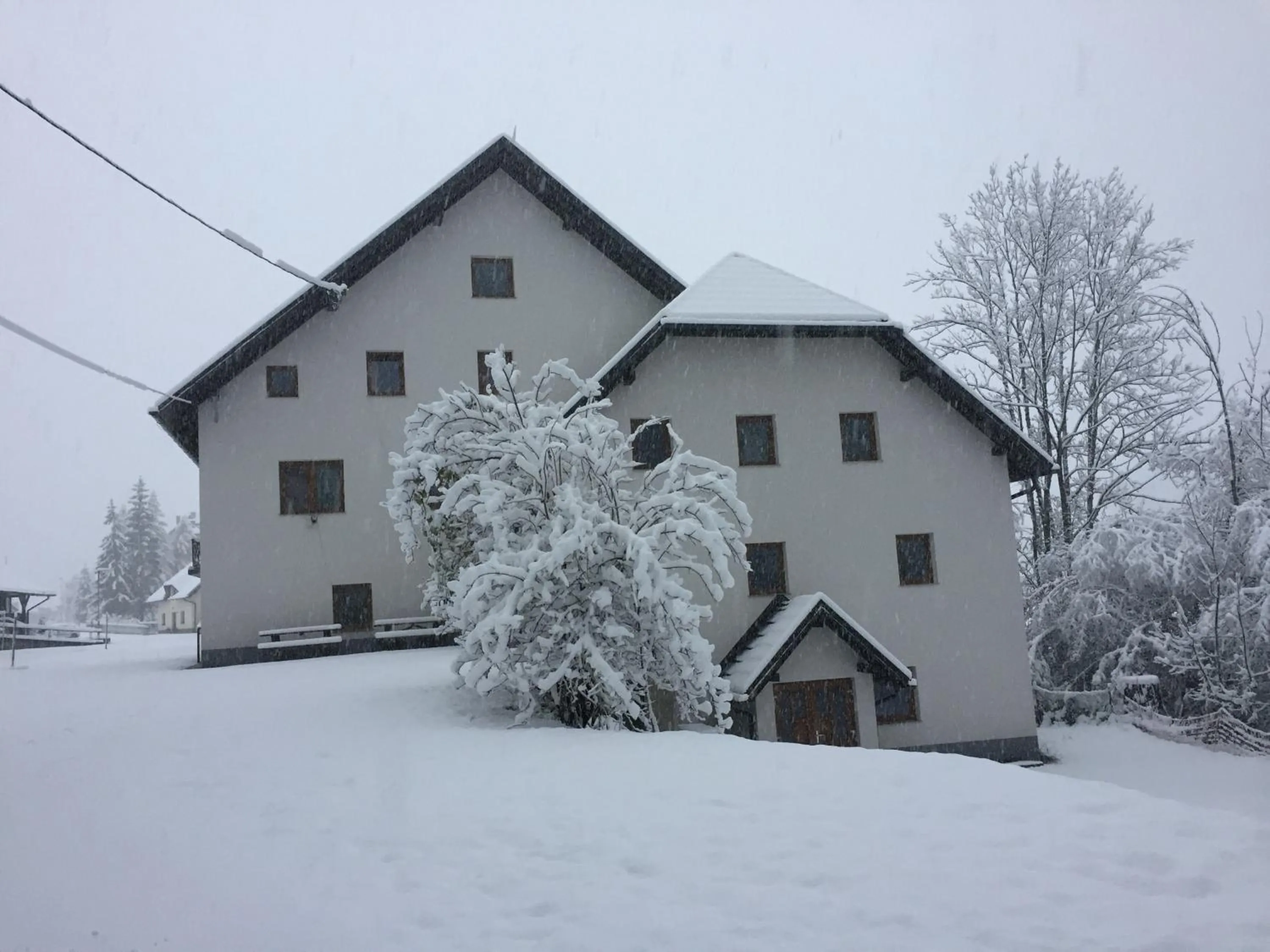 Winter in Youth Hostel Nika