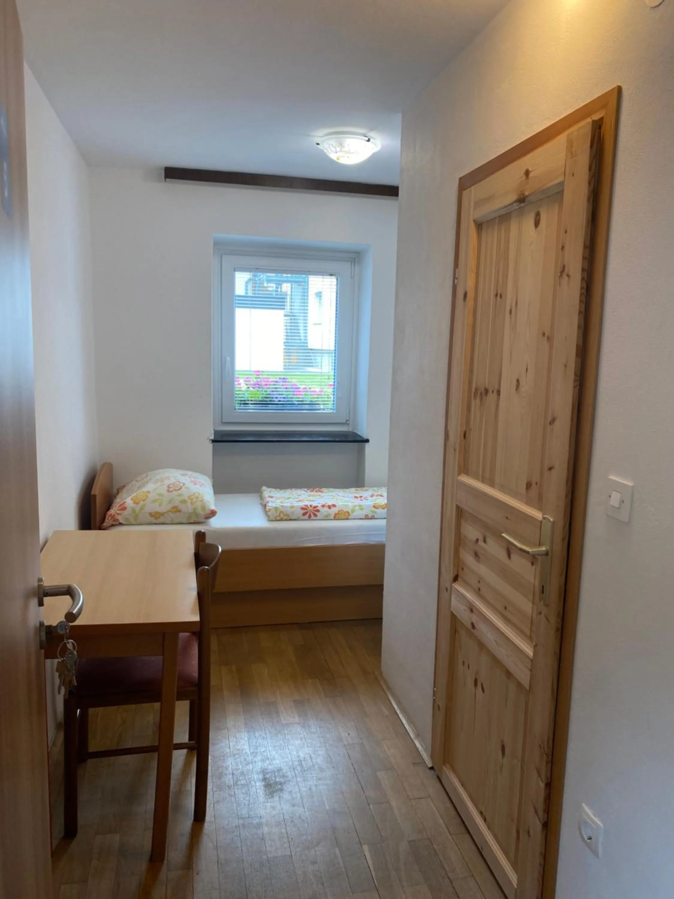 Photo of the whole room in Youth Hostel Nika